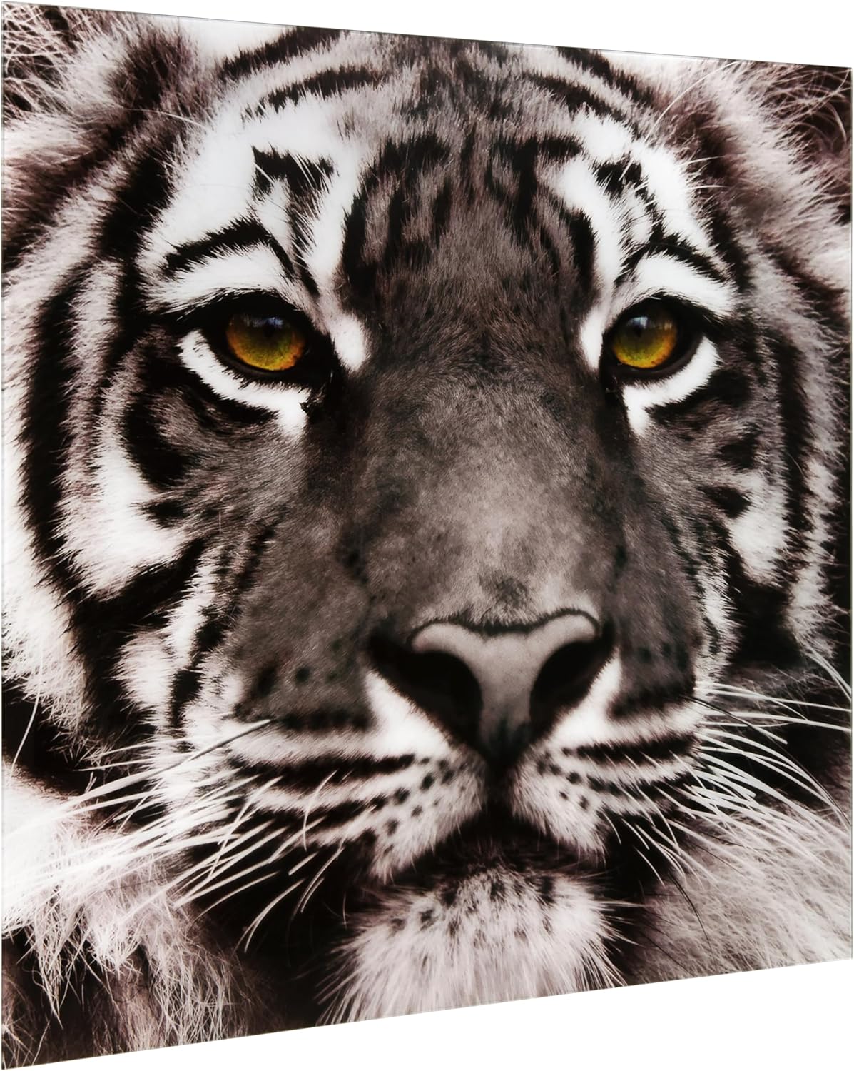 Empire Art Direct Tiger Tempered Glass Wall Art, Frameless Graphic Wall Decor, Square Wall Art, Brown, Ready to Hang,Living Room,Bedroom,Home Office,38" x 38"