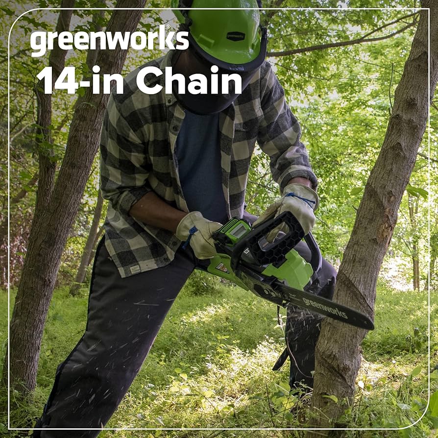 ビックチャンク　グリーン　ノイジー　サーフェイスジョー Amazon.com : Greenworks 14-Inch Chainsaw Chain 2906802,Black and