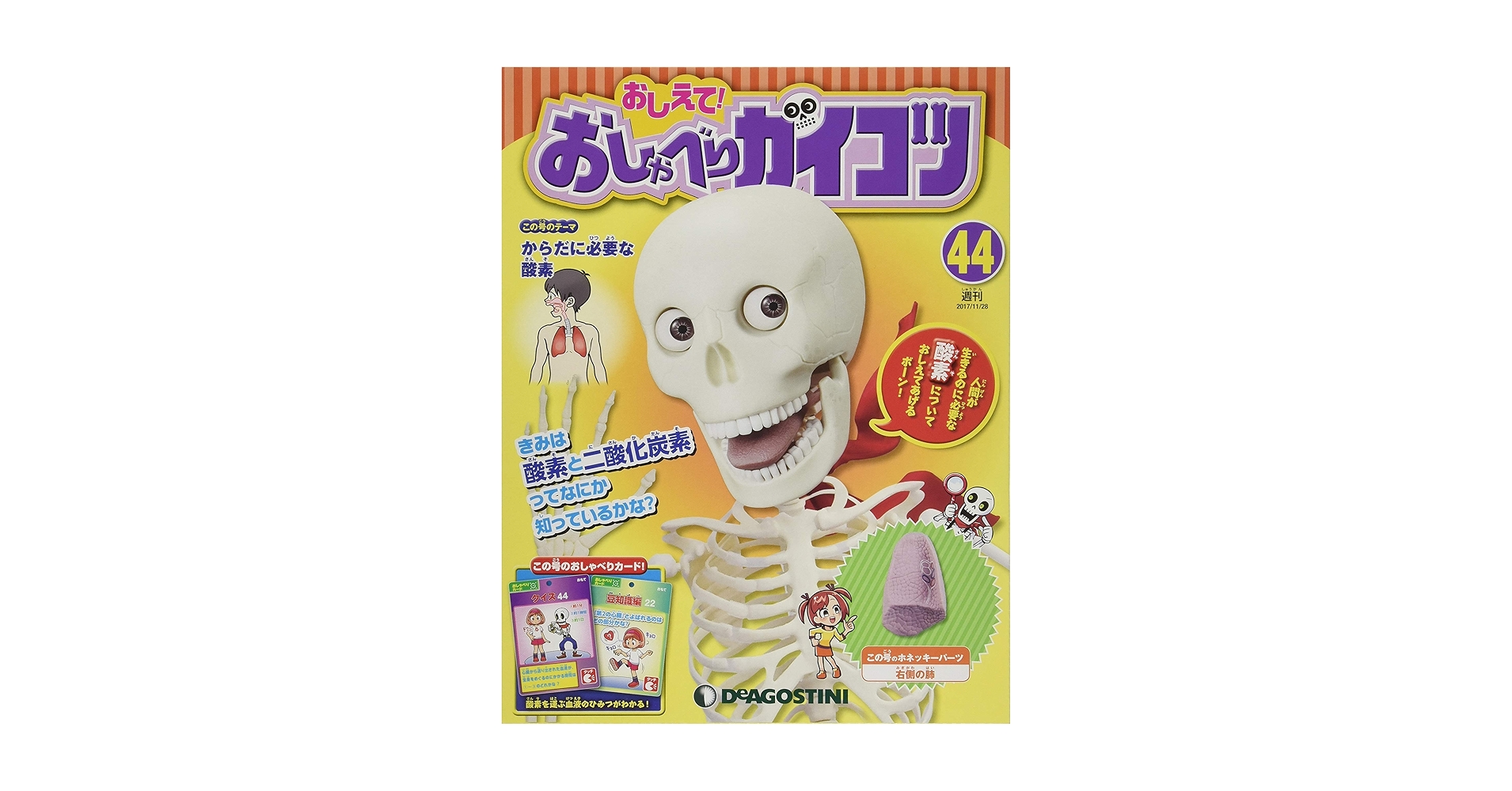 YYです。おしえて! おしゃべりガイコツ Amazon.co.jp: おしえて! おしゃべりガイコツ 47号 [分冊百科