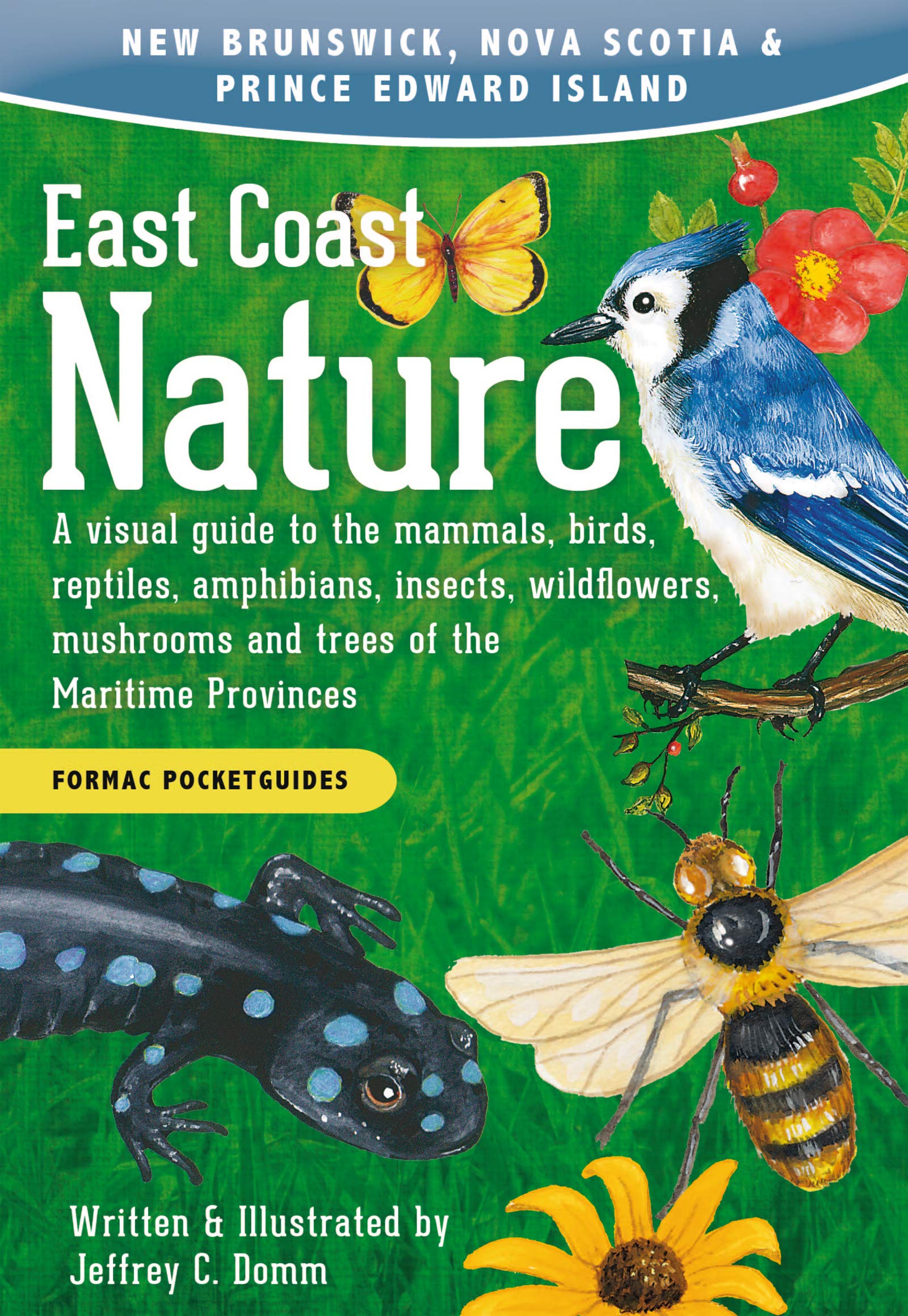 East Coast Nature: A visual guide to the mammals, birds, reptiles, amphibians, insects, wildflowers, mushrooms and trees of the Maritime Provinces