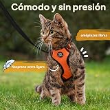 Ver la foto 2