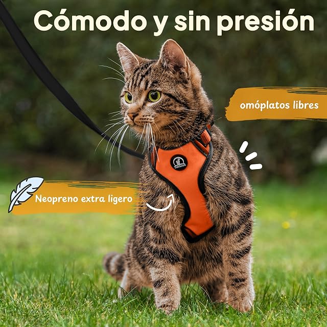 Foto 2 de 6 de Tierhood Arnes para Gatos - Arnes Gatos antiescape - Correa con arnes para