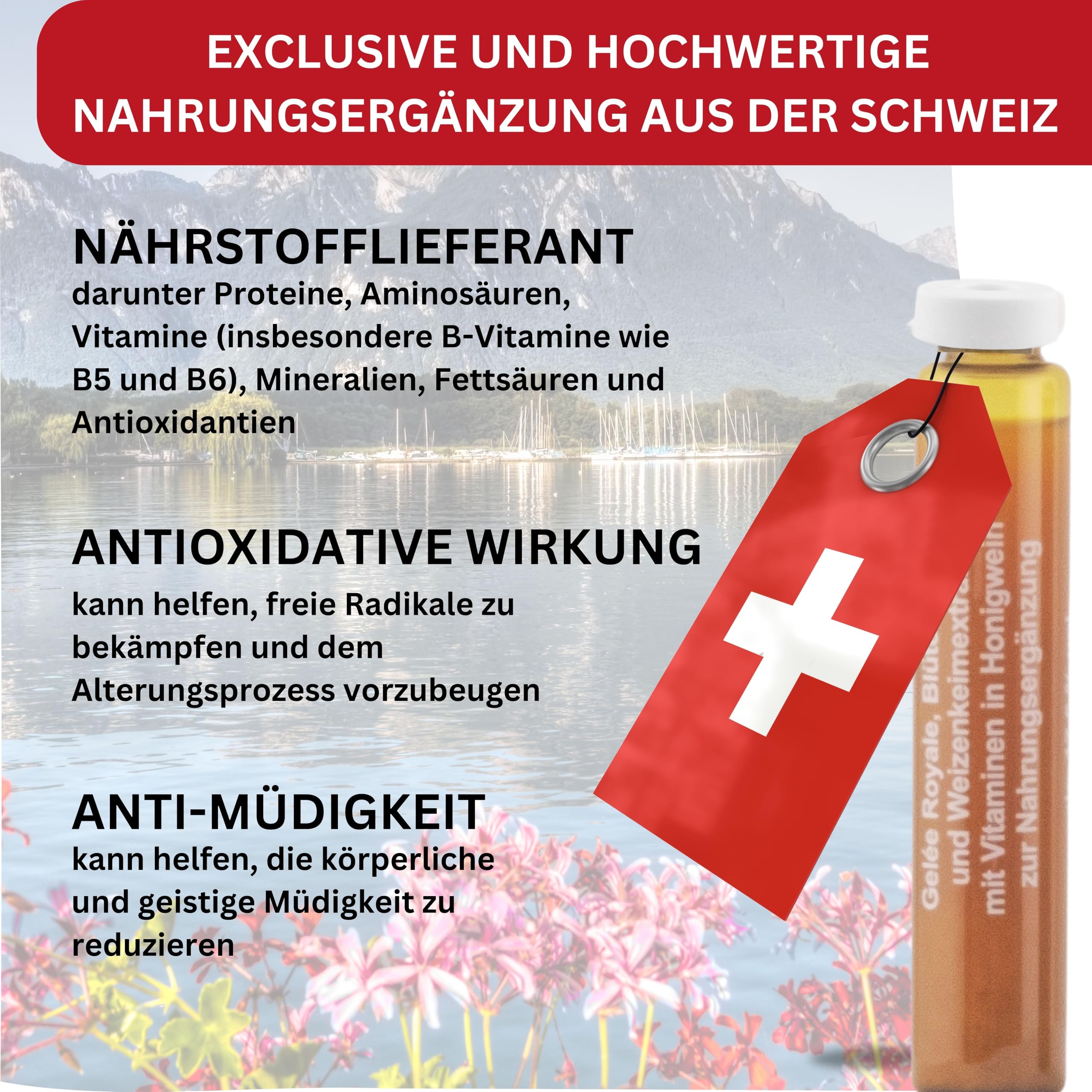 Gelee Royale Ampullen Monatspackung – 100% Rein, natürlich & hochwertige Vitamine. Zur Unterstützung von Energie, Immunität und Hautgesundheit - mit Honigwein