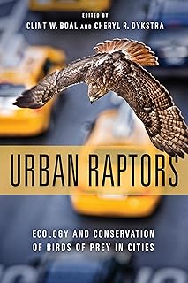 Urban Raptors: Ecology and Conservation of Birds of Prey in Cities