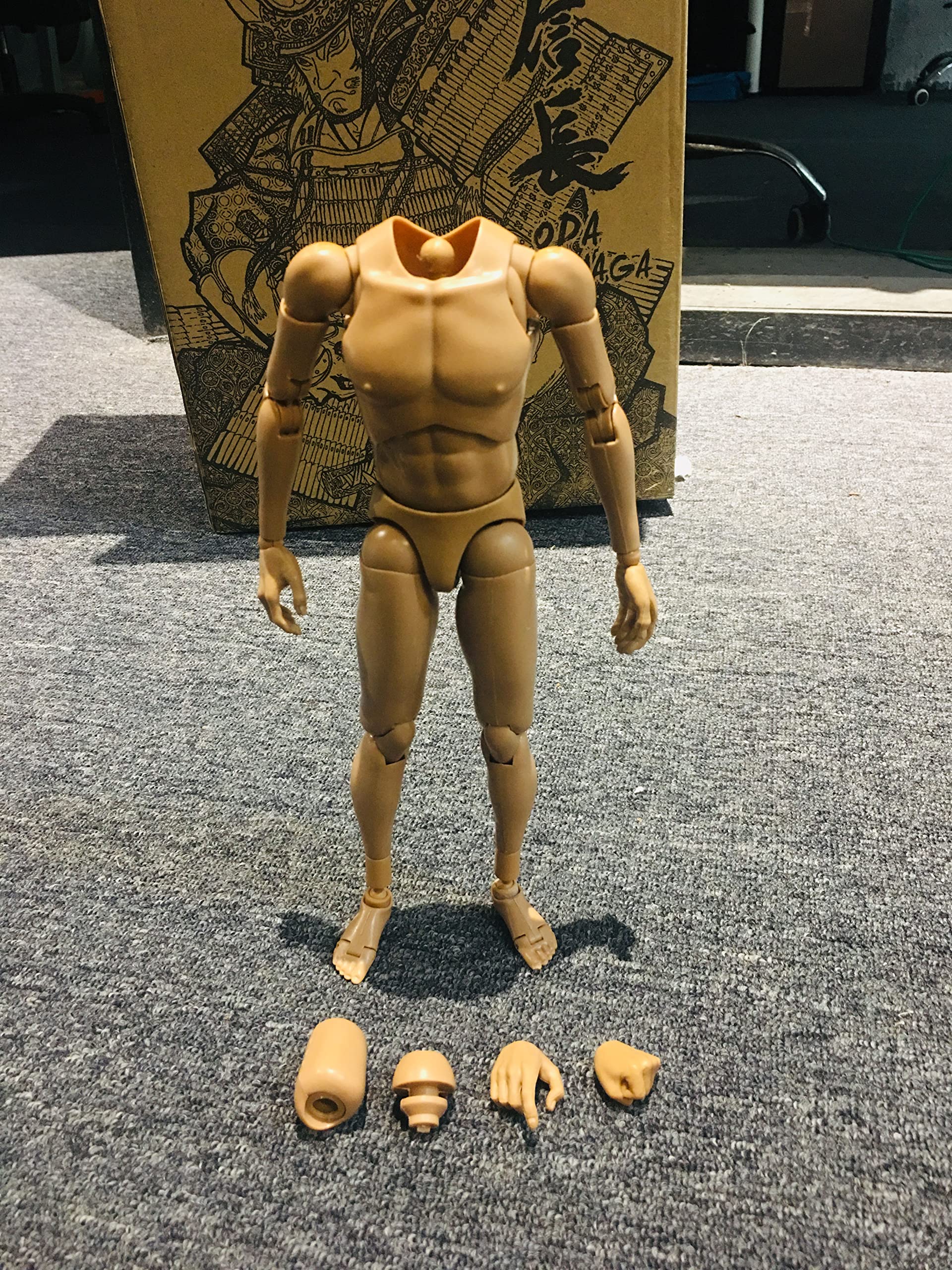 Amazon | TOPO 1/6 フィギュア 男性 素体 素体セット 2種類ヘッド