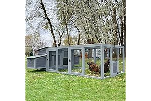 Spacious Chicken House for 6 Chickens: Aivituvin's Ideal Outdoor Haven