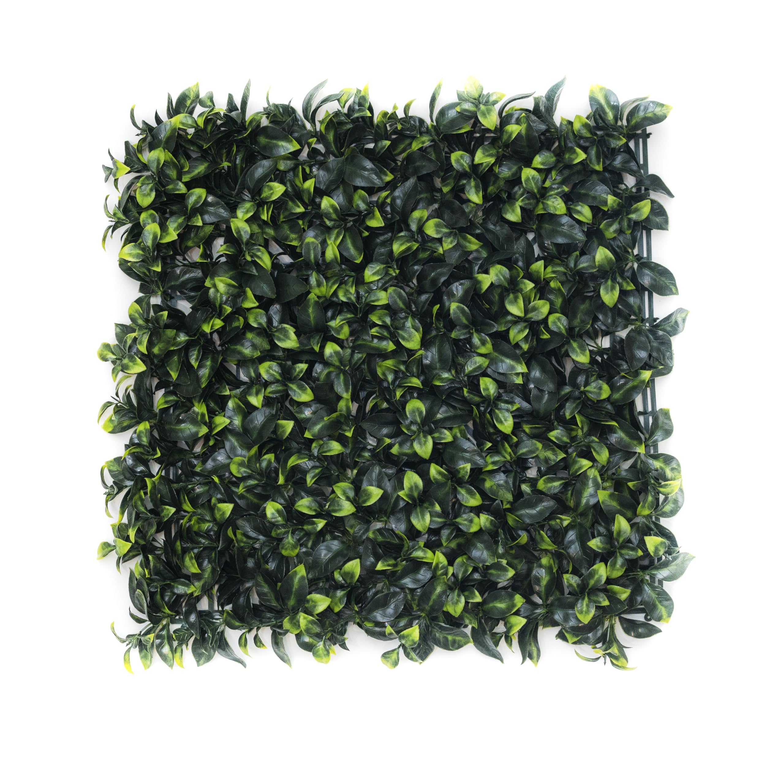 Valyria Home | Jardín Vertical Artificial Interior y Exterior | Traful | Planta Artificial Pared | Pack 4 Paneles 50x50 cm | Decoración Diseño Moderno | Proteccion UV