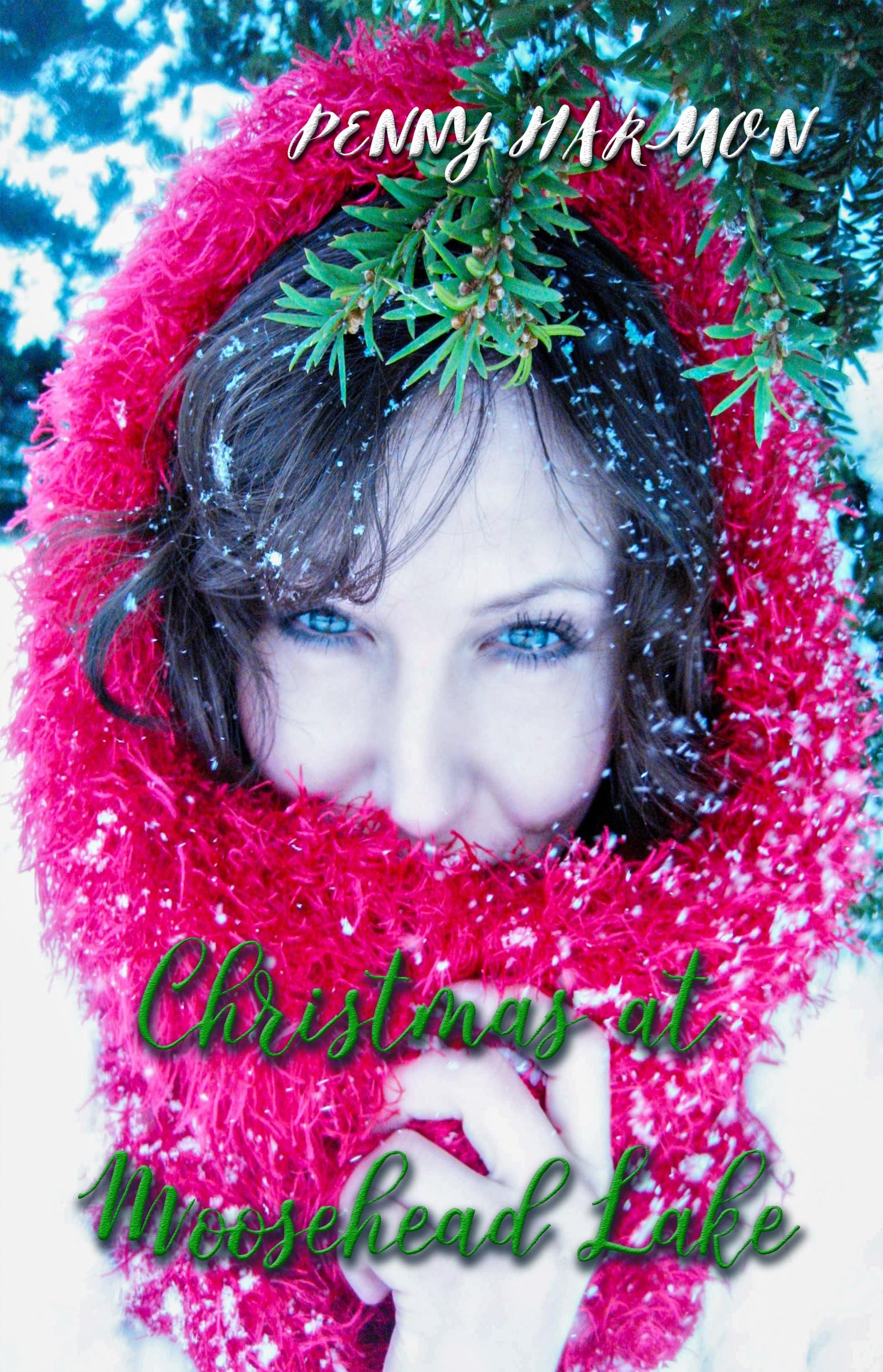 Christmas at Moosehead Lake