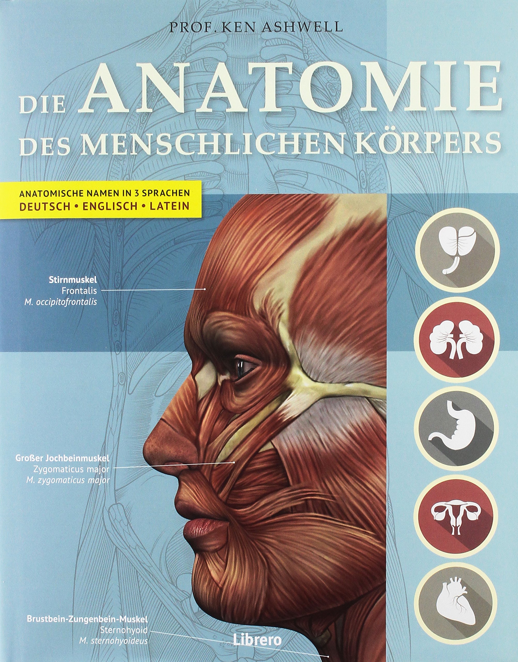 Der Menschliche Körper