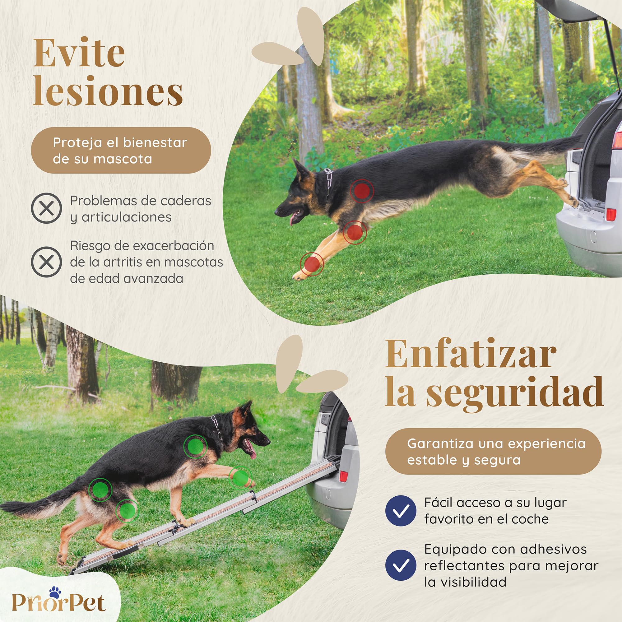 Rampa para Perros para Coche - Estable - Antideslizante - 90 kg de Capacidad - Rampas Extensibles para Perros Grandes - Laterales Reflectantes - Escalera Ligera para Perros - Clip de fijación - Arena