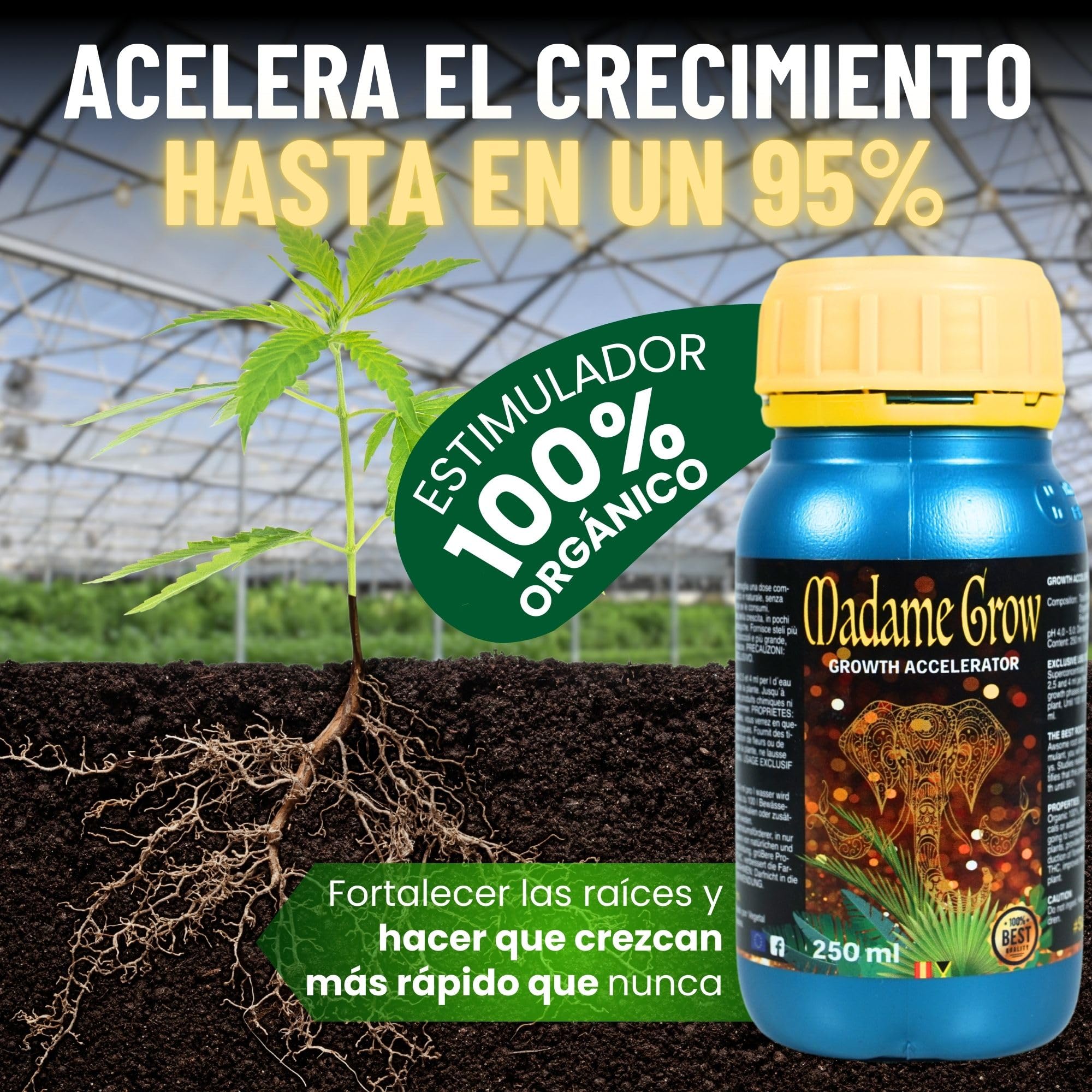 Madame Grow Kit Basic 3x250ml — Pack Fertilizantes Orgánicos Crecimiento y Floración, Abono Líquido Superconcentrado