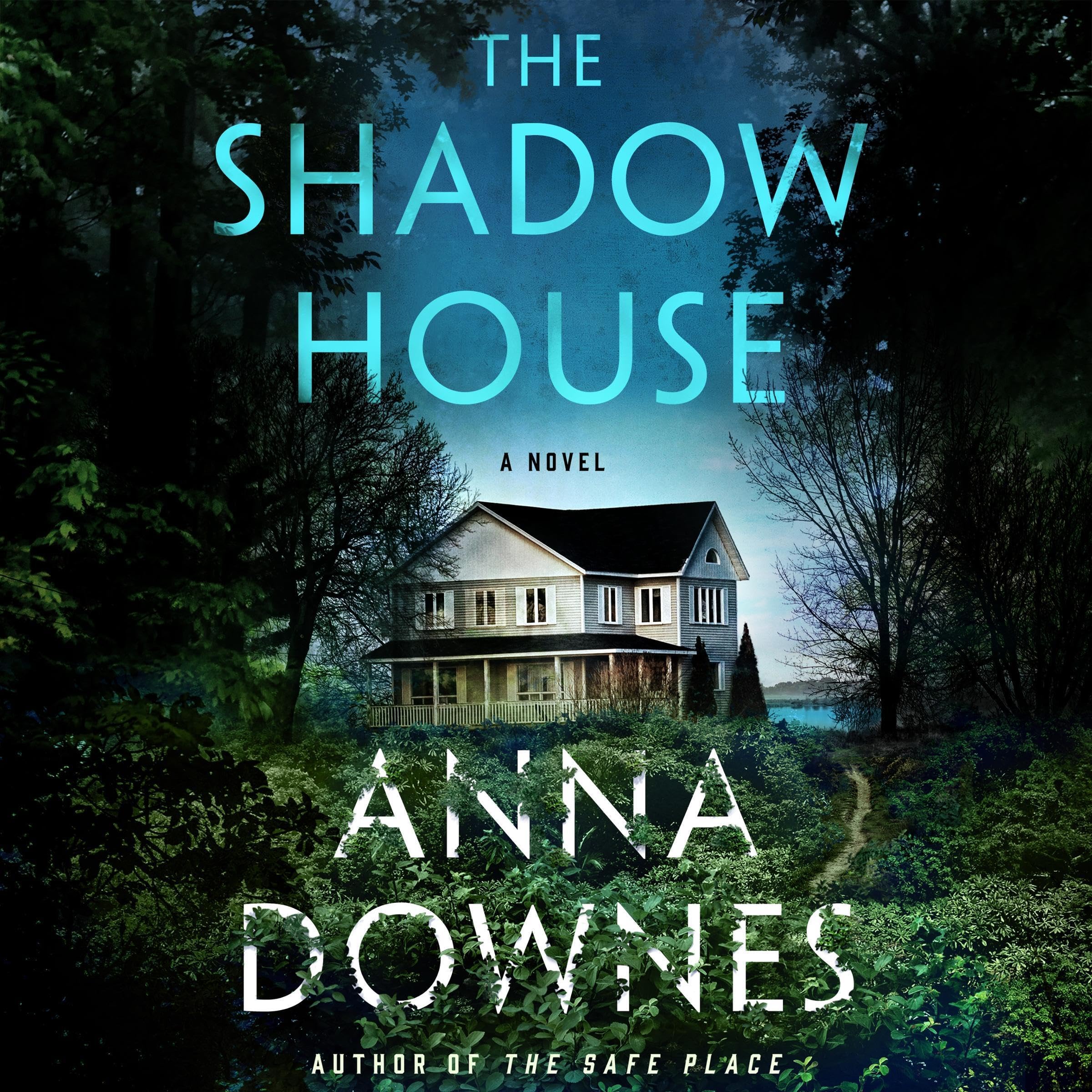 Cover art for The Shadow House