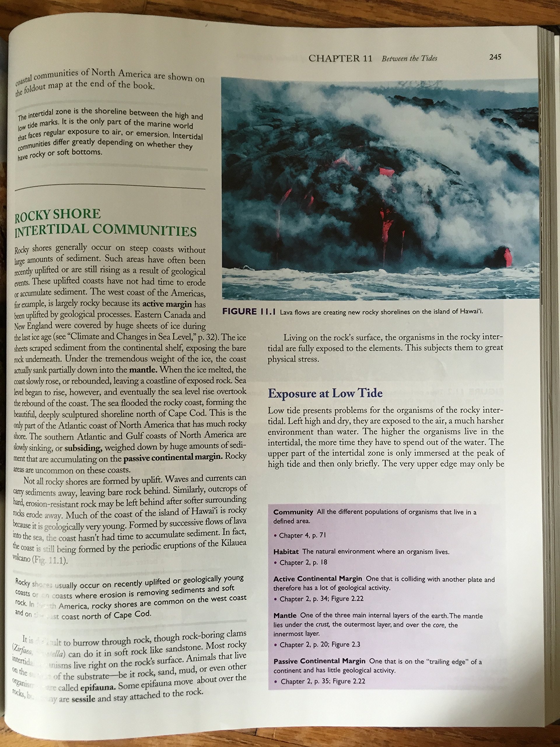 Marine Biology - Image 7