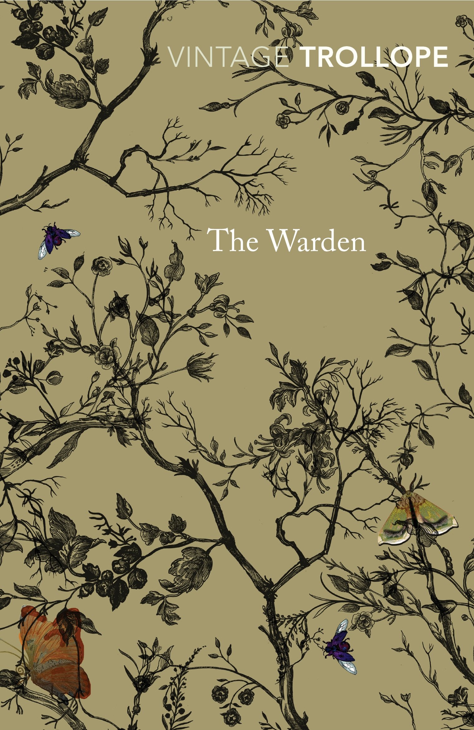 The Warden by Anthony Trollope (Paperback Book)