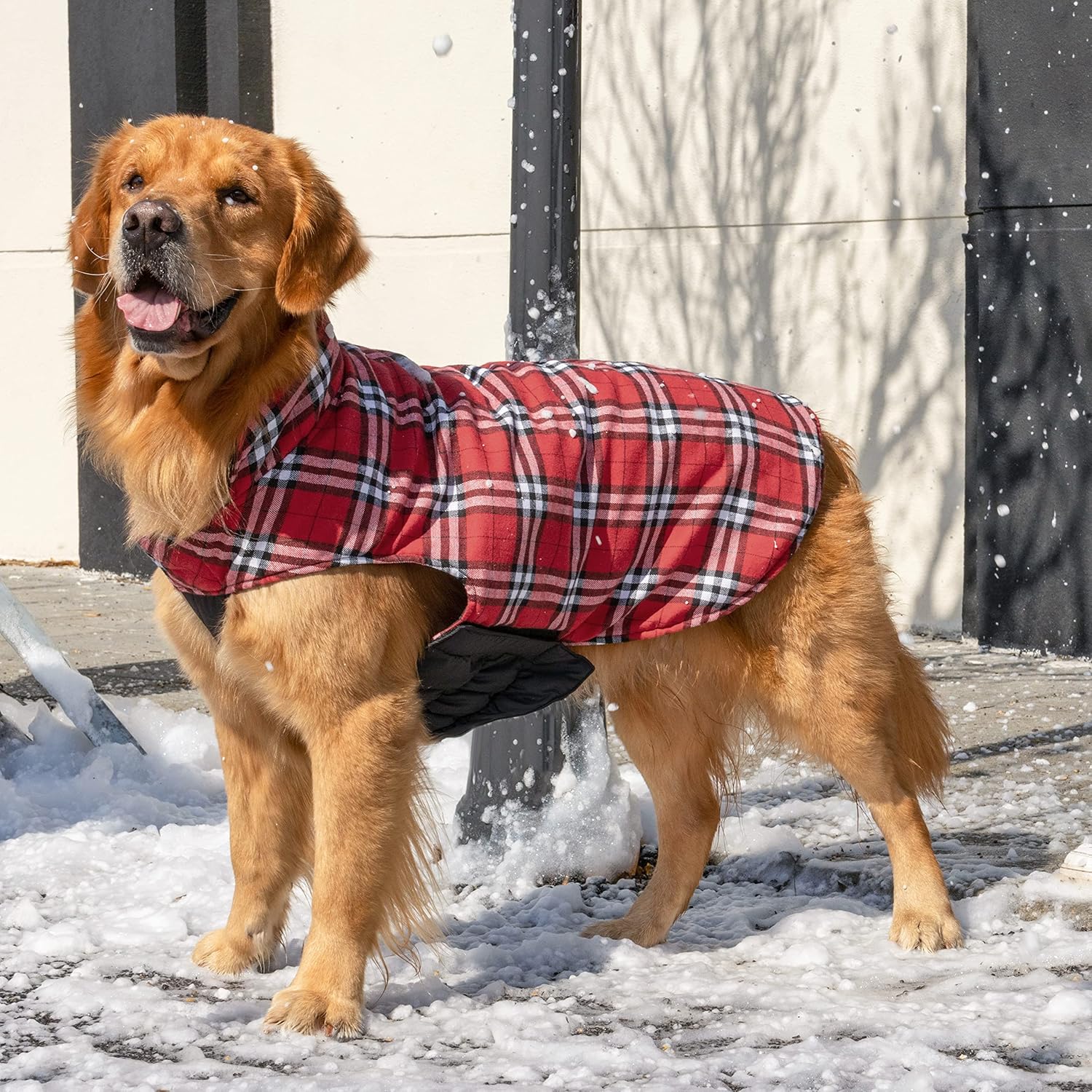 CuteBone Winter Dog Jacket - Reversible, Adjustable, Windproof & Waterproof - Thick Dog Coat for Small to Large Dogs - Image 6