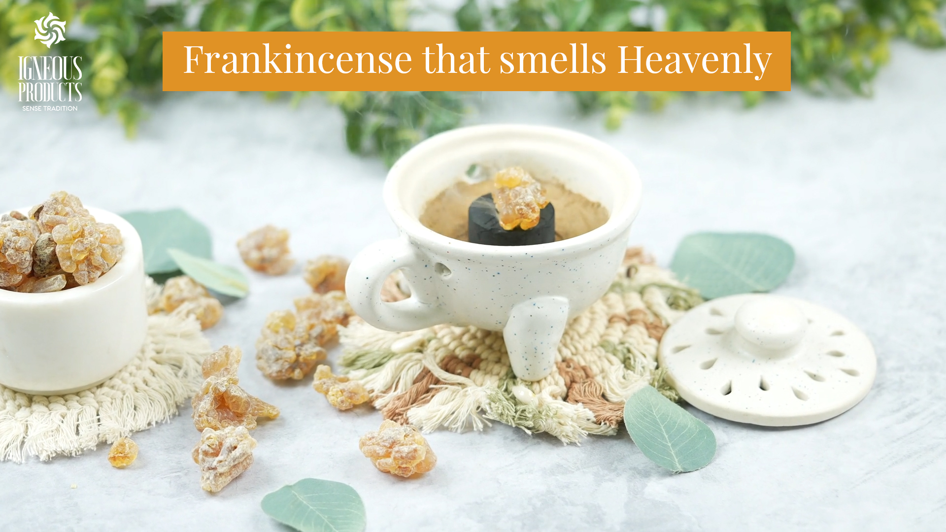 Amazon.com: Frankincense Organic Incense By Igneous Products