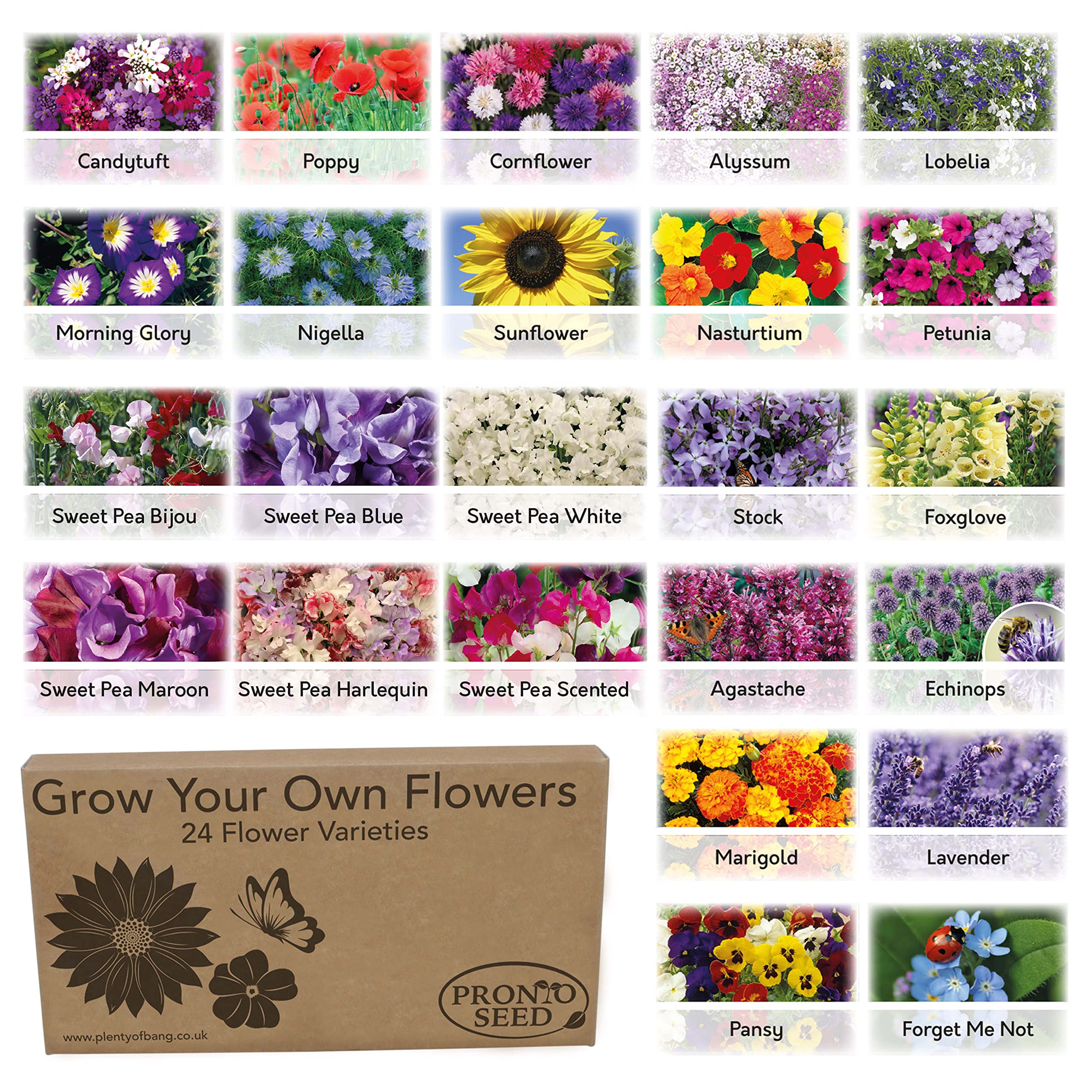 Pronto Seed Bumper Pack Grow Your Own Kit - 24 Varieties of Flowers - Over 3100 Seeds to Attract Butterflies & Bees - Gardening Gift for Women and Men (Flower Pack)