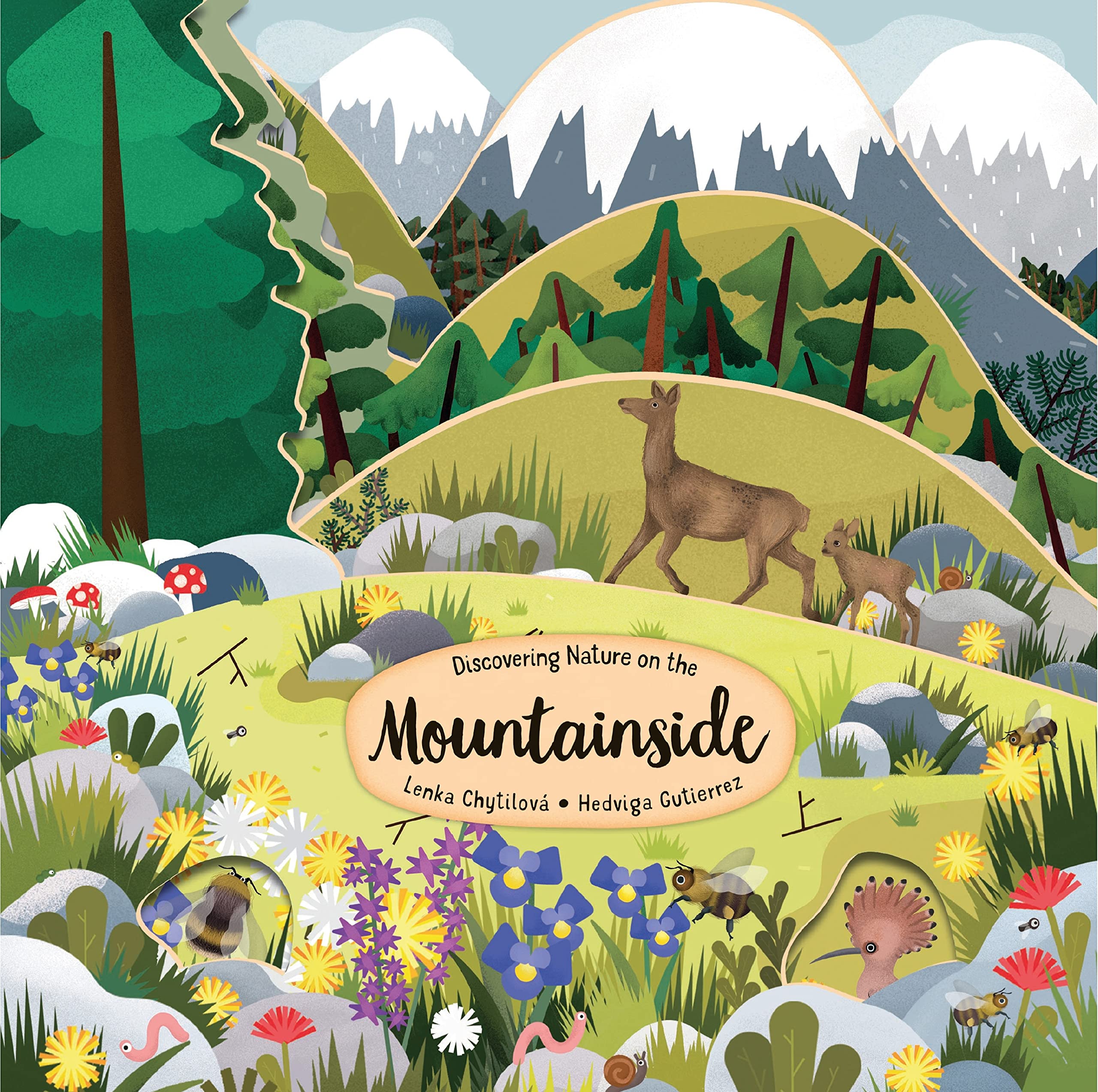 Discovering Nature on the Mountainside (Peek Inside)