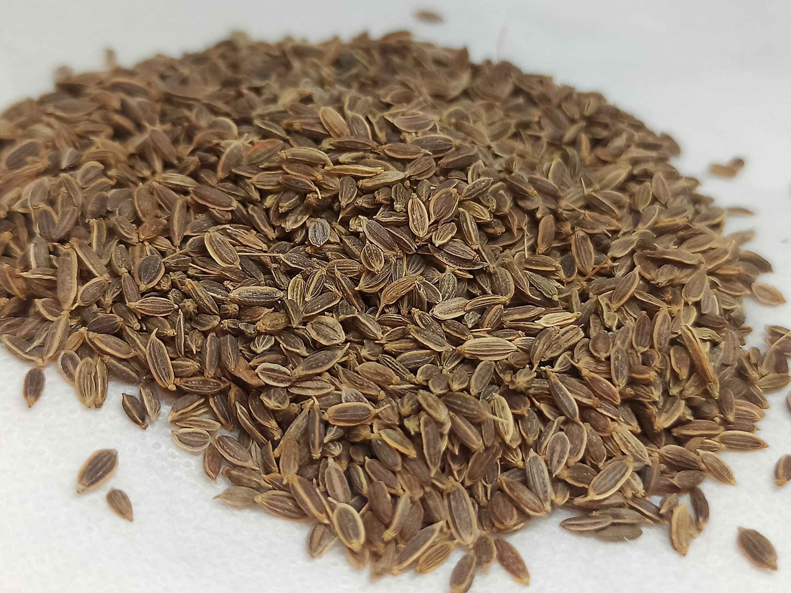 See full amazon price history chart for NATURALIFES-*SATHA KUPPAI*-சதகுப்பை I Sathakuppai I Dill I Anethum Sowa I Soyo I सोयो I Sathakuppa I Chatakuppa I Sadapa Vittulu-(100 GRAMS) NATURALIFES-*SATHA KUPPAI*-சதகுப்பை I Sathakuppai I Dill I Anethum Sowa I Soyo I सोयो I Sathakuppa I Chatakuppa I Sadapa Vittulu-(100 GRAMS) (B0B8WB3LCK) Amazon Price History, Amazon Price Tracker