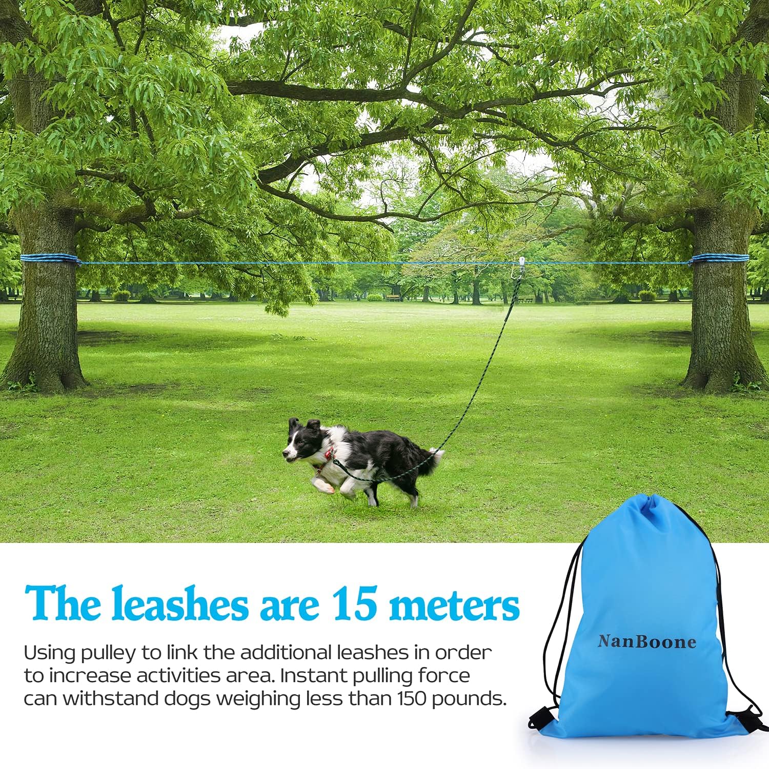 dog leads for camping