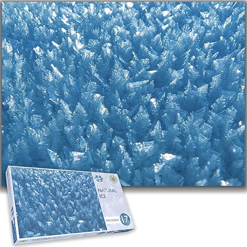 Rompecabezas de hielo natural de 1000 piezas Impossible Impuzzible para adultos 26.0 in x 19.7 in Rompecabezas desafiante, gran regalo para adultos