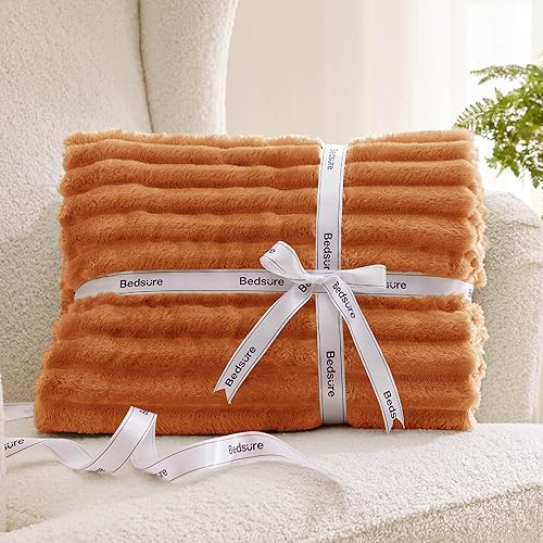 Miniatura 307 de Bedsure GentleSoft Twin Blanket for Couch - Cozy Soft Blankets for Women, Cute Small Fleece Throws for Girls, Light Grey, 60x80 Inches