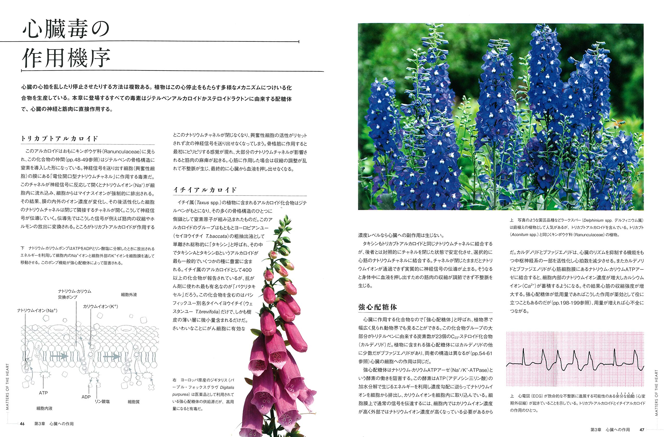 世界毒草百科図鑑 エリザベス A ダウンシー ソニー ラーション 船山 信次 柴田 譲治 配送料無料