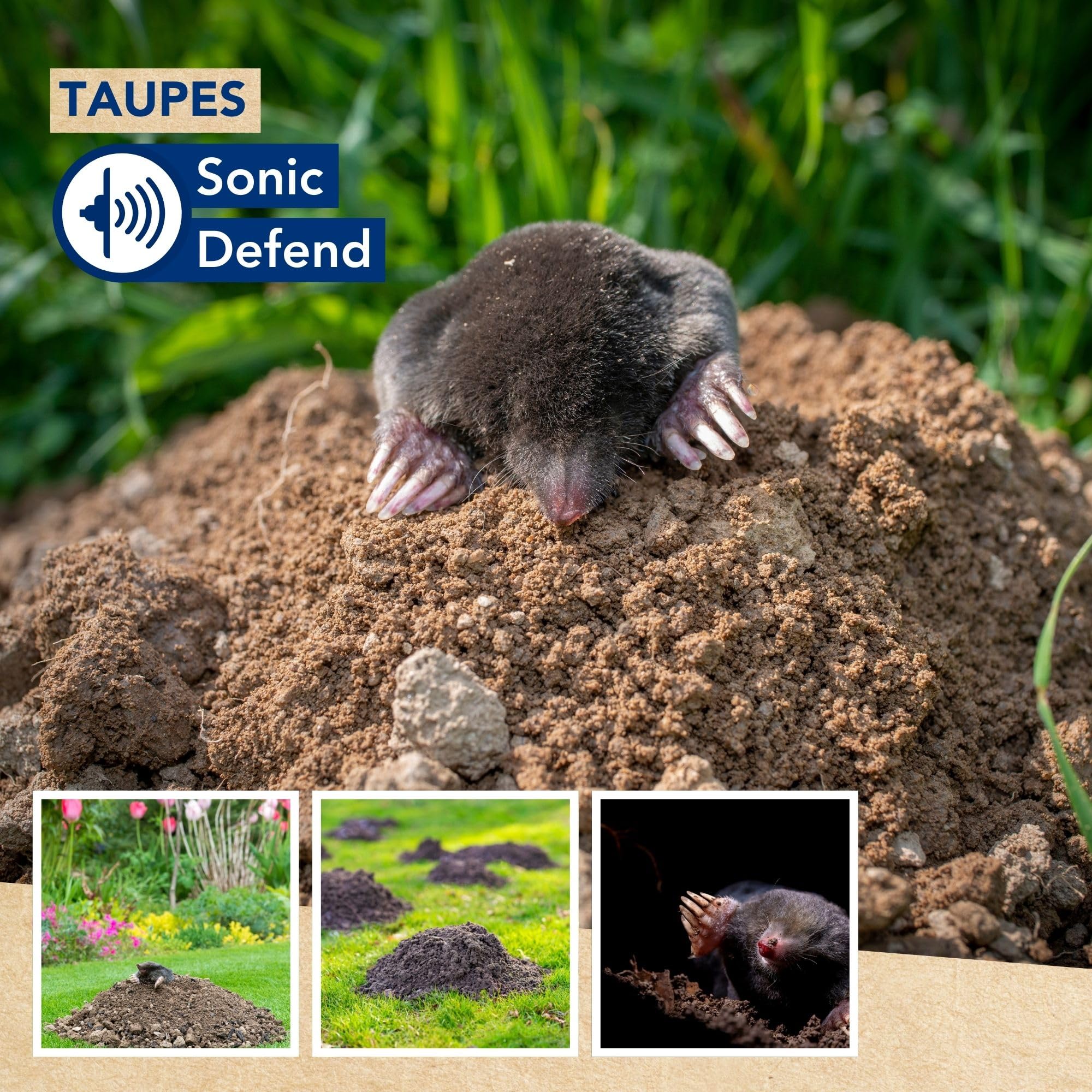 Edialux Répulseur Solaire pour Taupes avec Sons et Vibrations système répulsif ultrasonique écologique pour Jardin Protection Jusqu’à 350 m² résistant aux intempéries