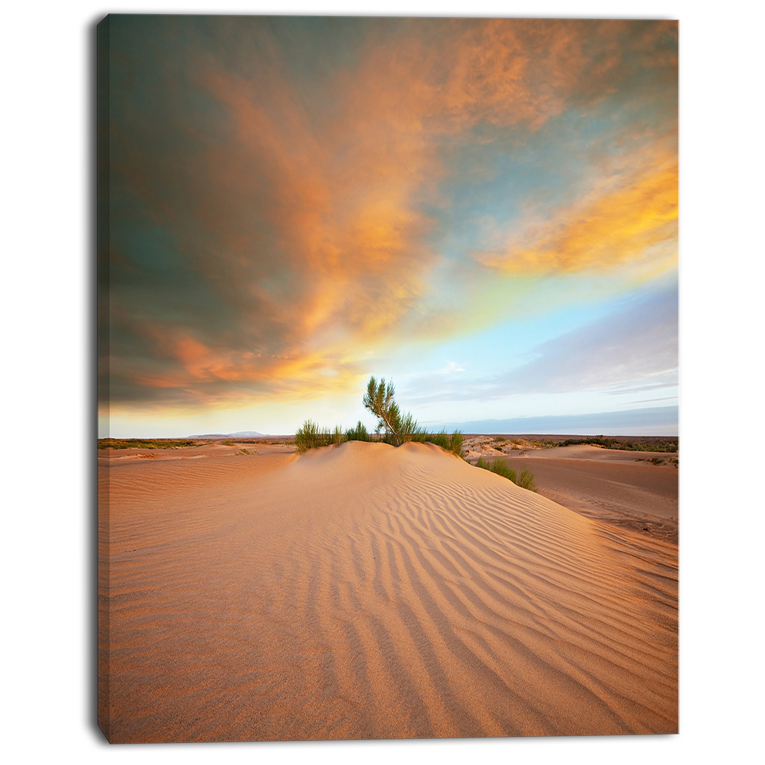 PT12784-30-40 Green Plants in Wide Desert-African Landscape Print Wall Art, 30x40