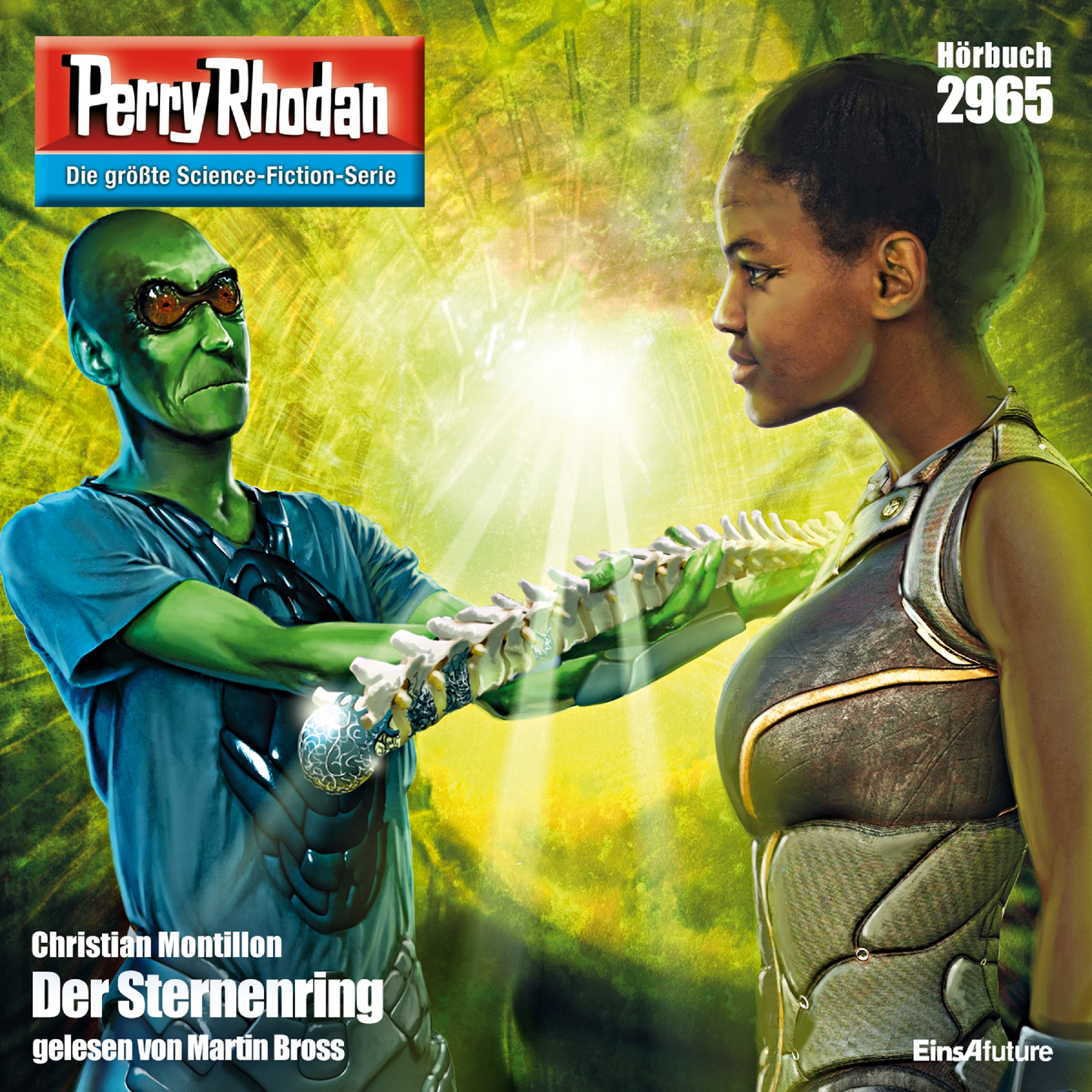 Cover art for Der Sternenring