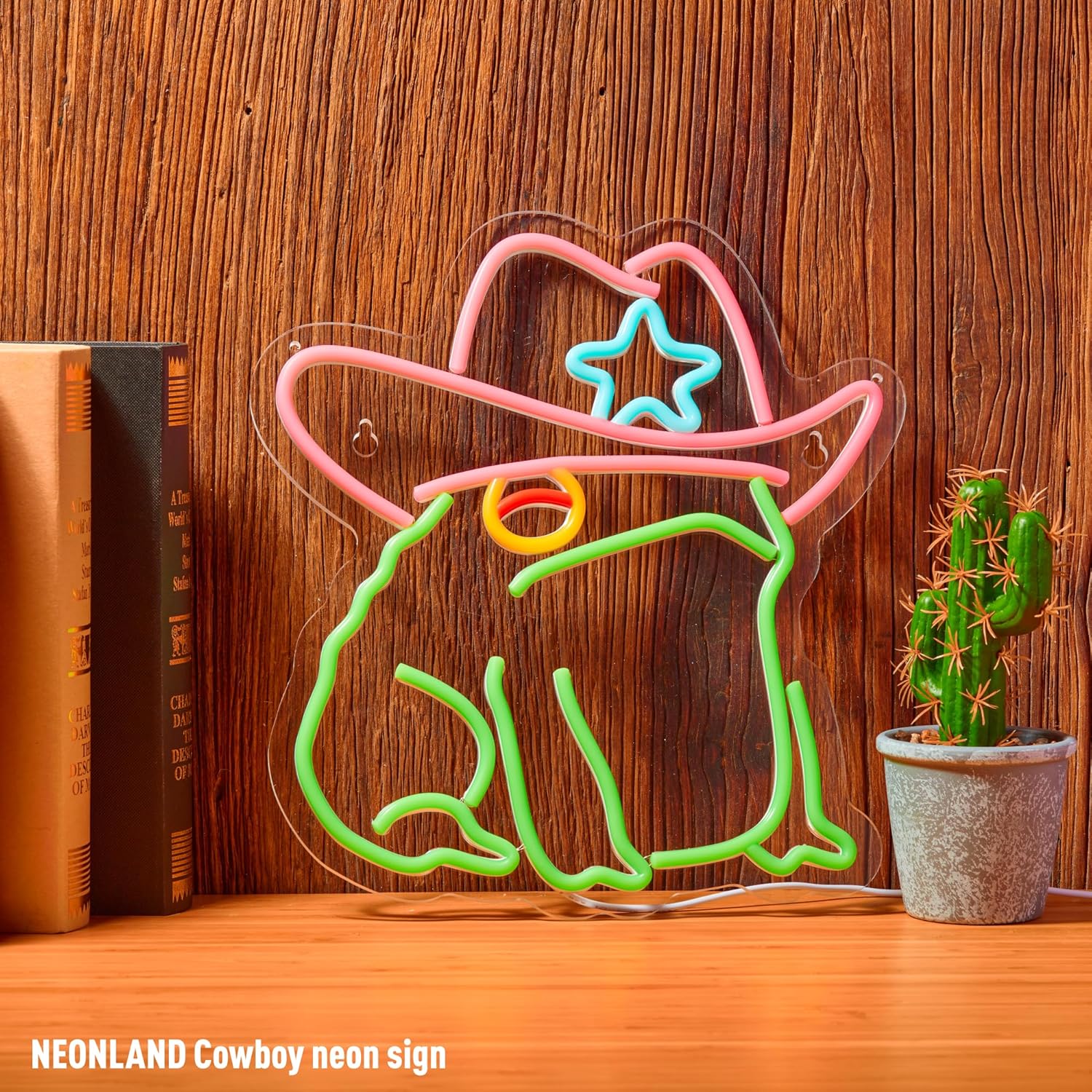 Cowboy Toad Neon Sign Frog Neon Light Cowboy LED USB Powered Dimmable Art Signs for Pub Store Man Cave Room 13.8 X 12.6 inch - Image 5