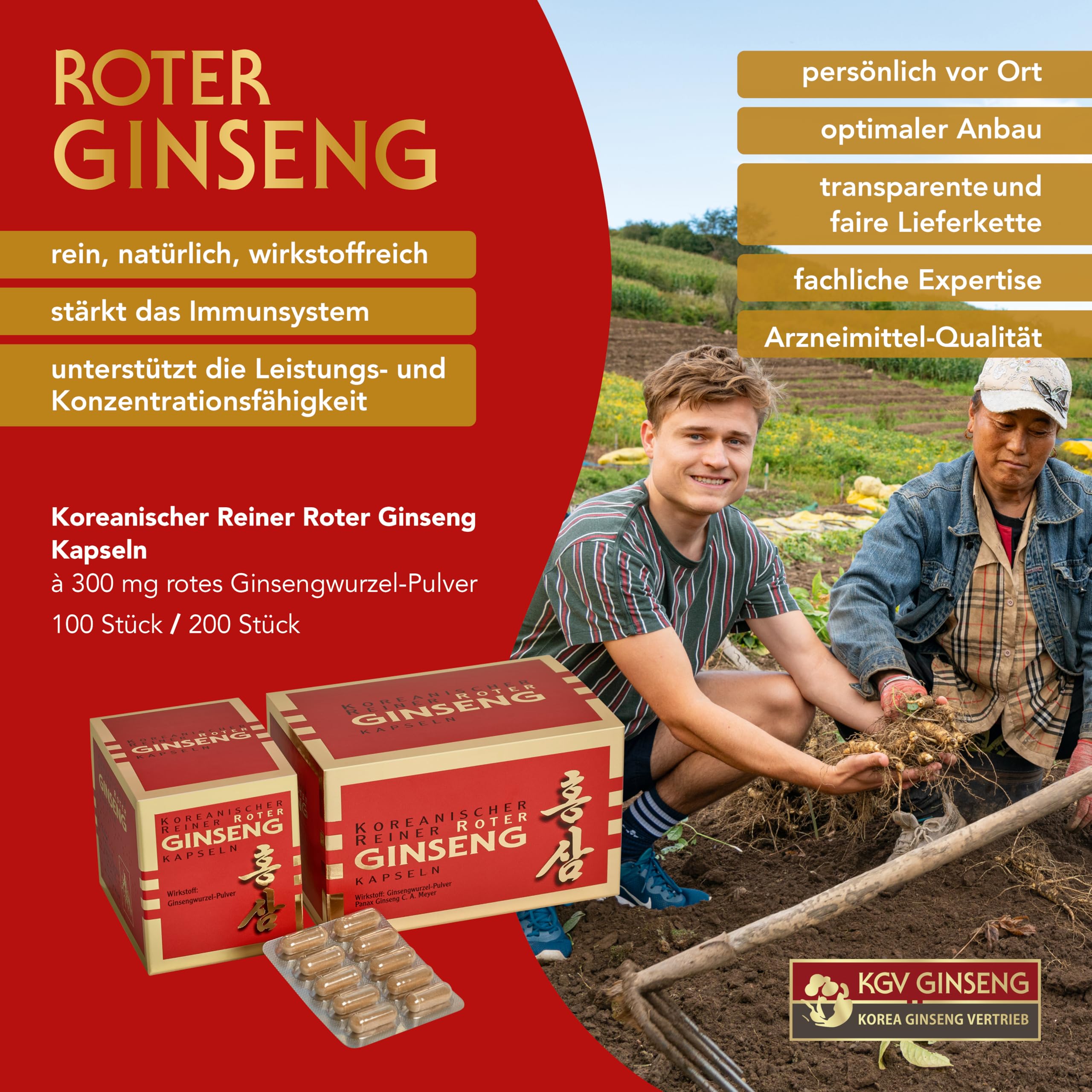 KGV Koreanischer Reiner Roter Ginseng, 100 Kapseln, je 300 mg Ginsengwurzel-Pulver, Arzneimittel mit 6-jährigem Panax Ginseng