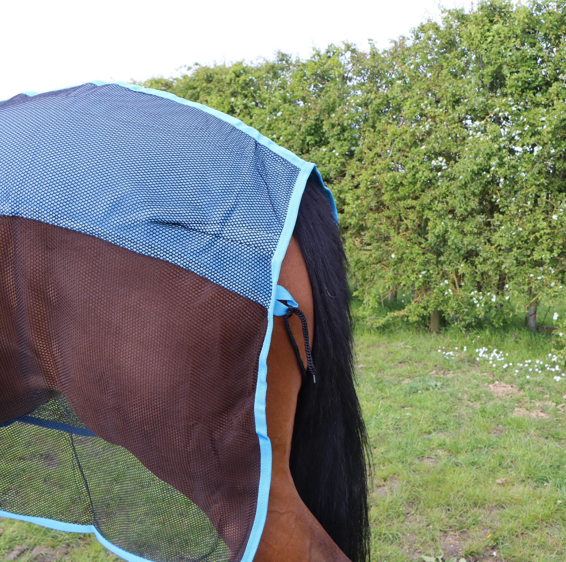 Ruggles Fleece/Mesh Cooler Rug for Horse and Ponies, Black?Sky Blue, 6' 3" - Image 3