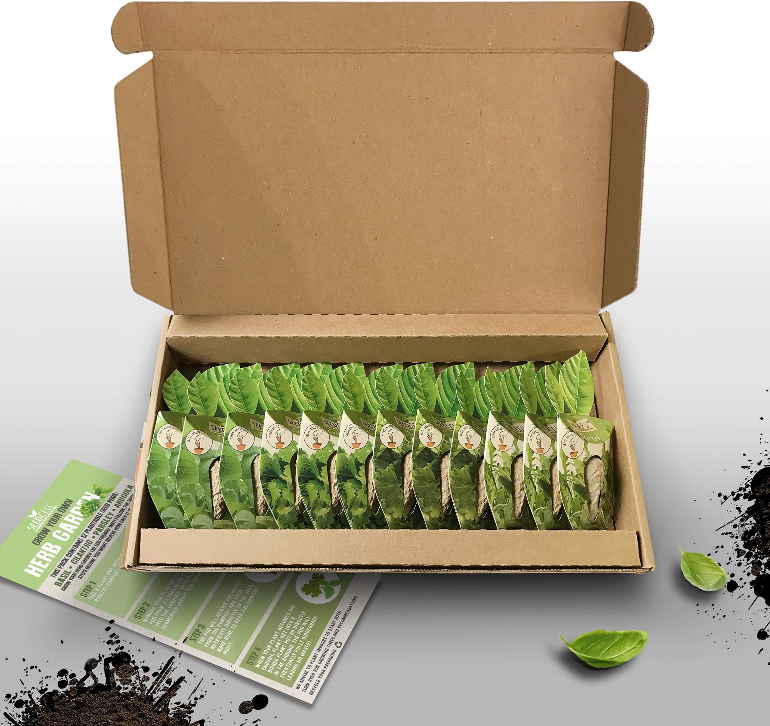 Vegtrug Seed Pod Kit - Herb