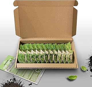 Vegtrug Seed Pod Kit-Herb, Varied
