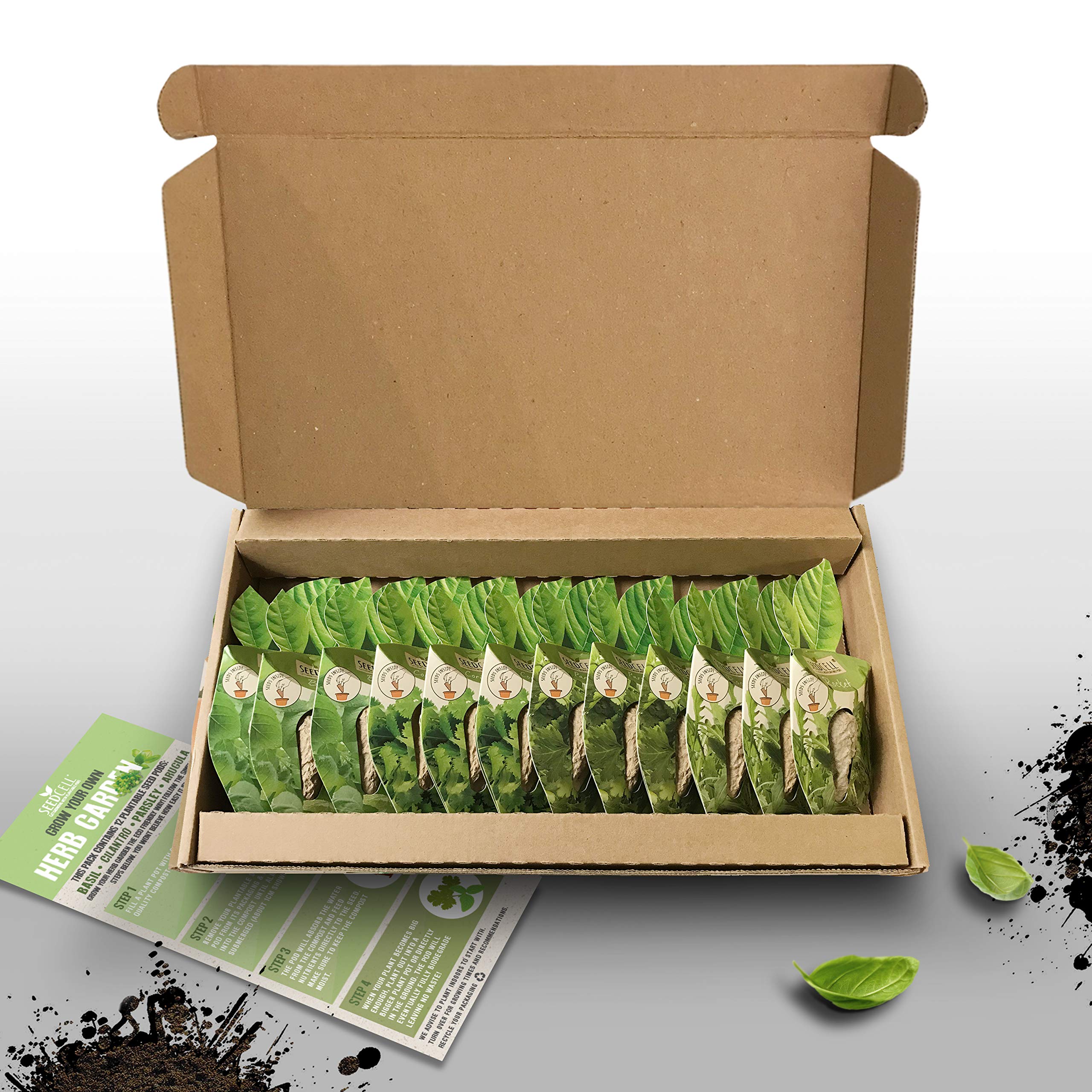 Vegtrug Seed Pod Kit - Herb