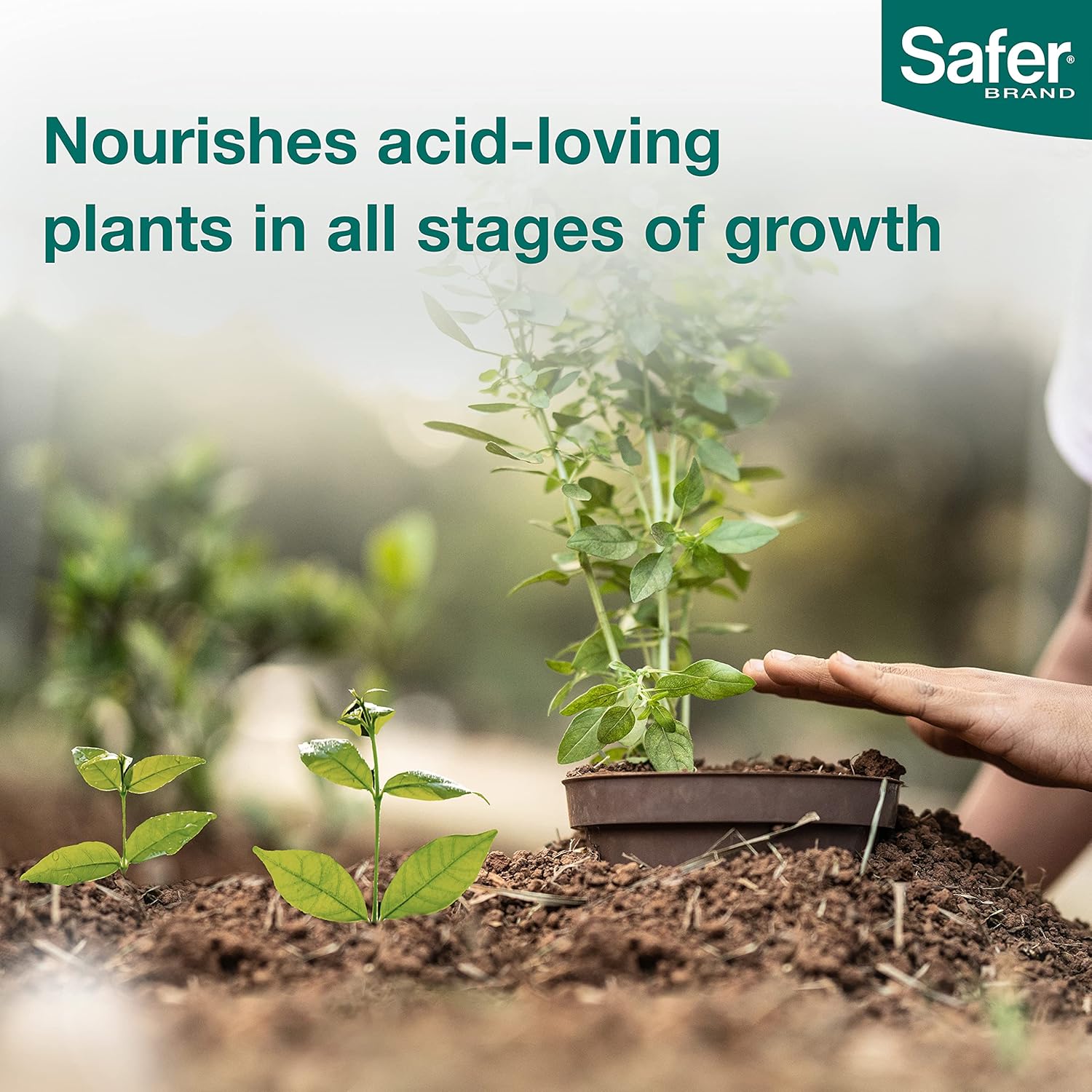 Safer Brand 94AH Azalea & Holly Restore Fertilizer