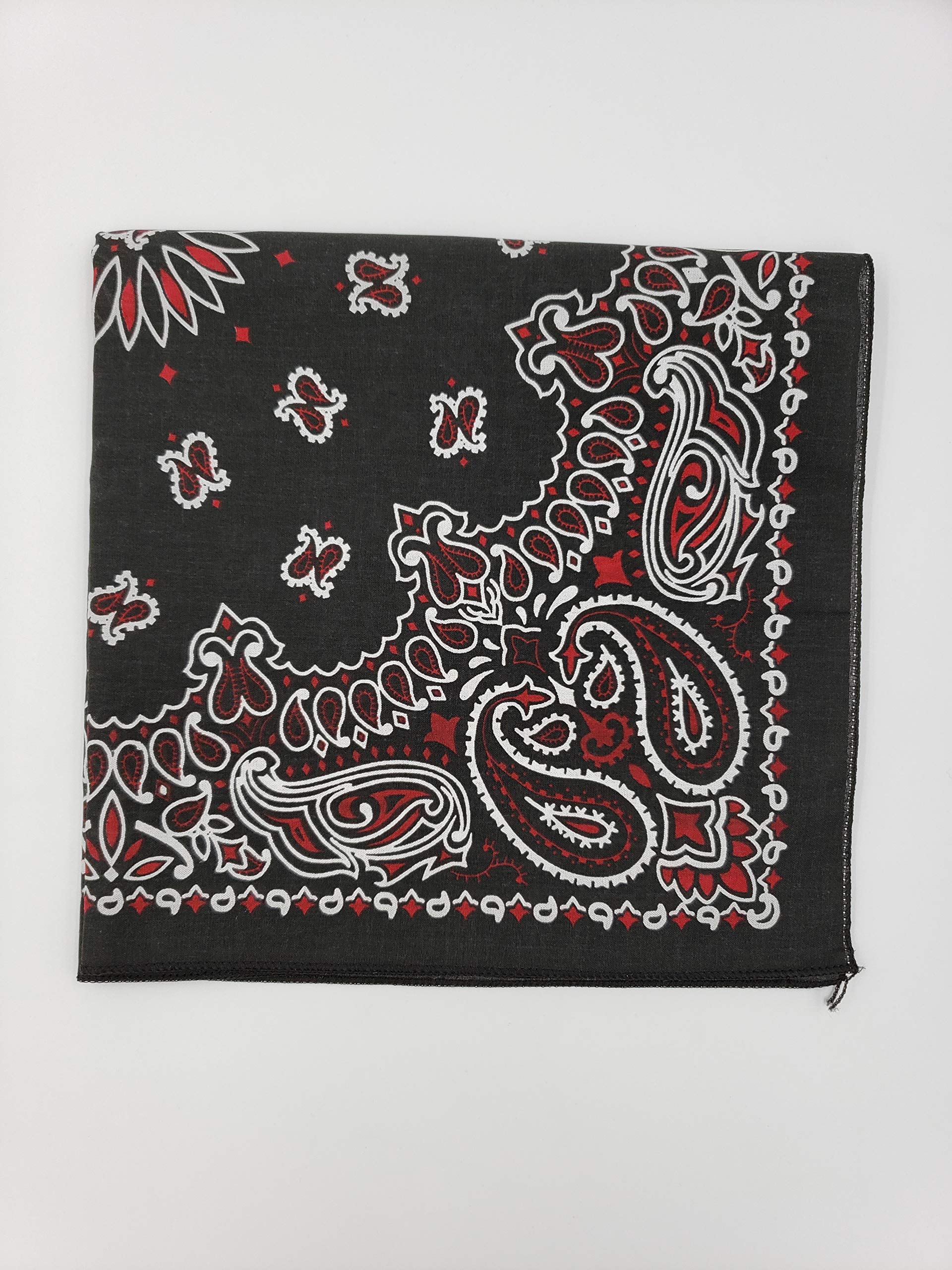 Bandanna Paisley 100% Cotton Made in the USA Bandana - 22 inches (Black and Red)