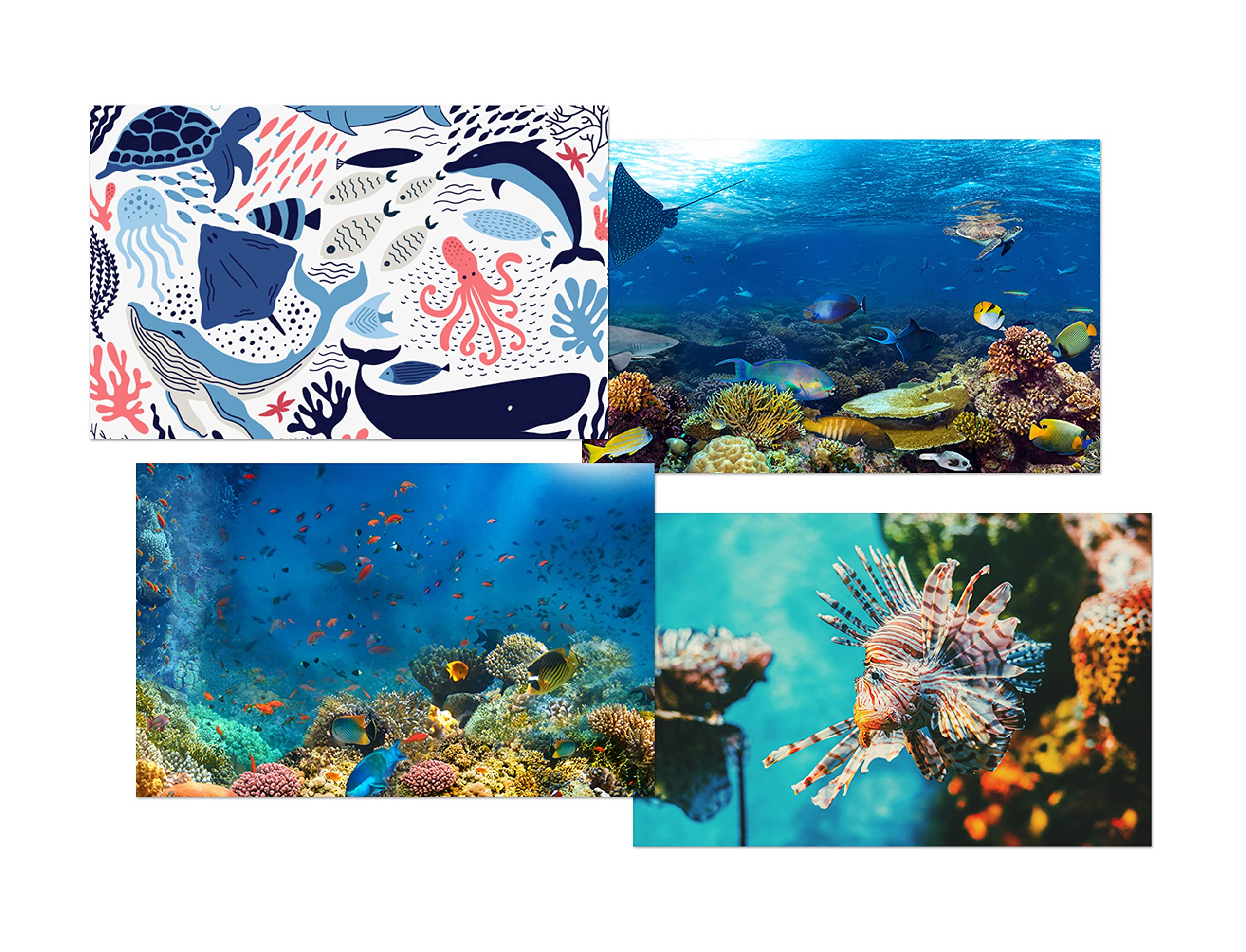 Set of 4 Tropical Fish White Ballpoint Pens - Underwater Dolphin Octopus Ocean Friends Boys Girls Men Women Theme Pen #79341 - Image 2