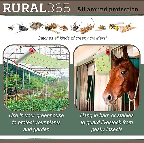 Miniatura 5 de Trampa de cinta para moscas  30 pies de adhesivo horizontal o vertical para colgar en interiores y exteriores, paquete de 2 rollos de cinta para