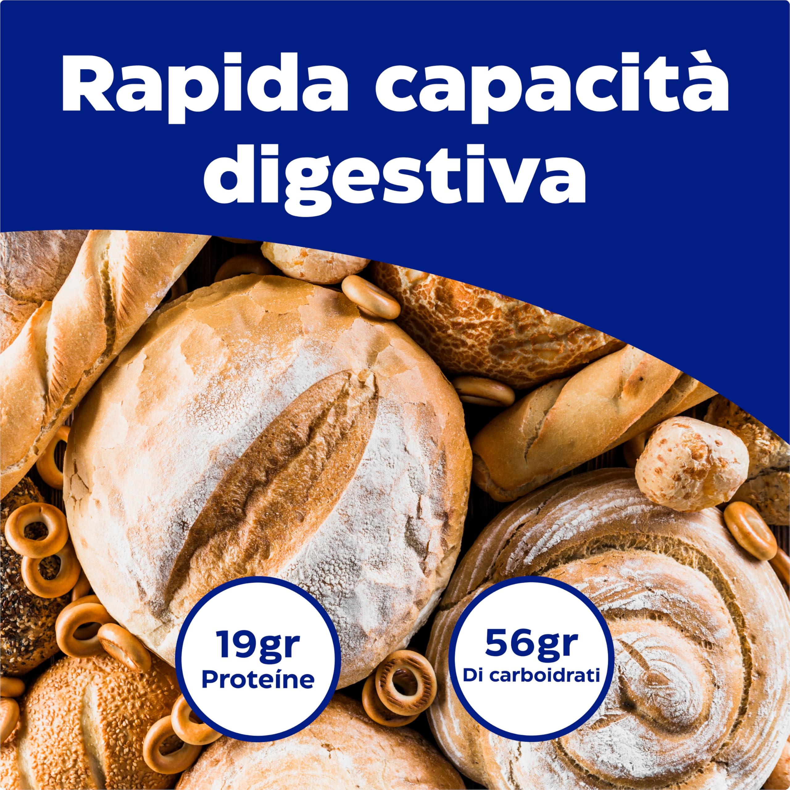 Enzymedica, Glutenease, Integratore Alimentare a Base di Enzimi Indicato contro Intolleranza a Glutine e Caseina, Riduce Gonfiore e Irregolarità, Gluten Free, Senza Lattosio, Vegano, 60 Capsulas