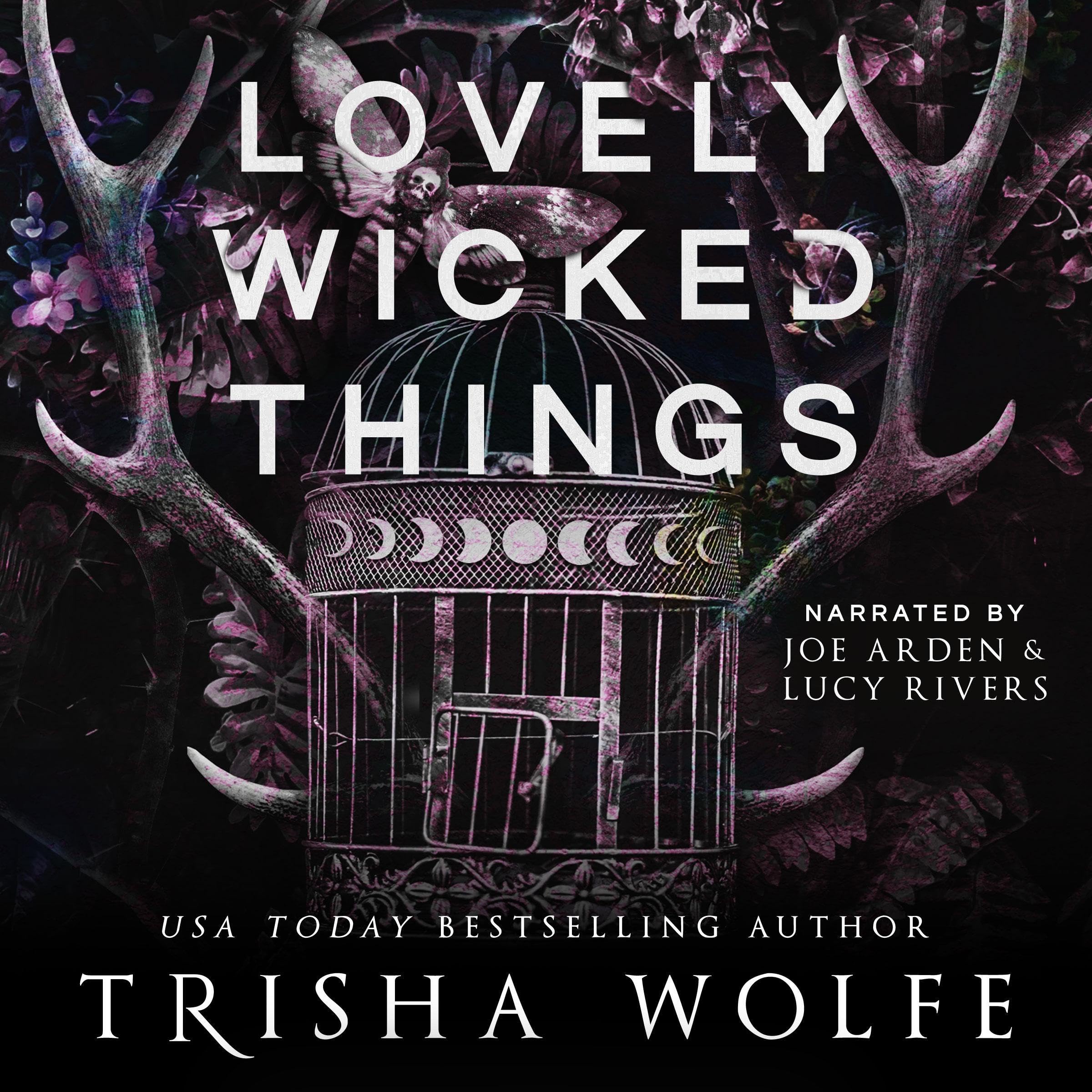 Cover art for Lovely Wicked Things