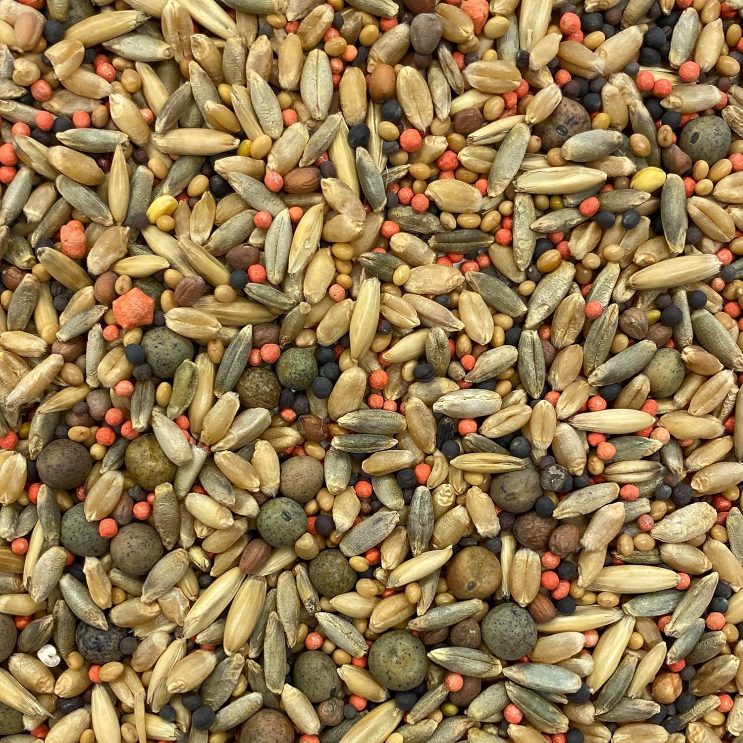 Ani-Logics Outdoors Crush The Perfect 10 - Proven Fall Deer Food Plot Seed for Antler-Supporting Nutrition & Huntable Patterns - 20 lb