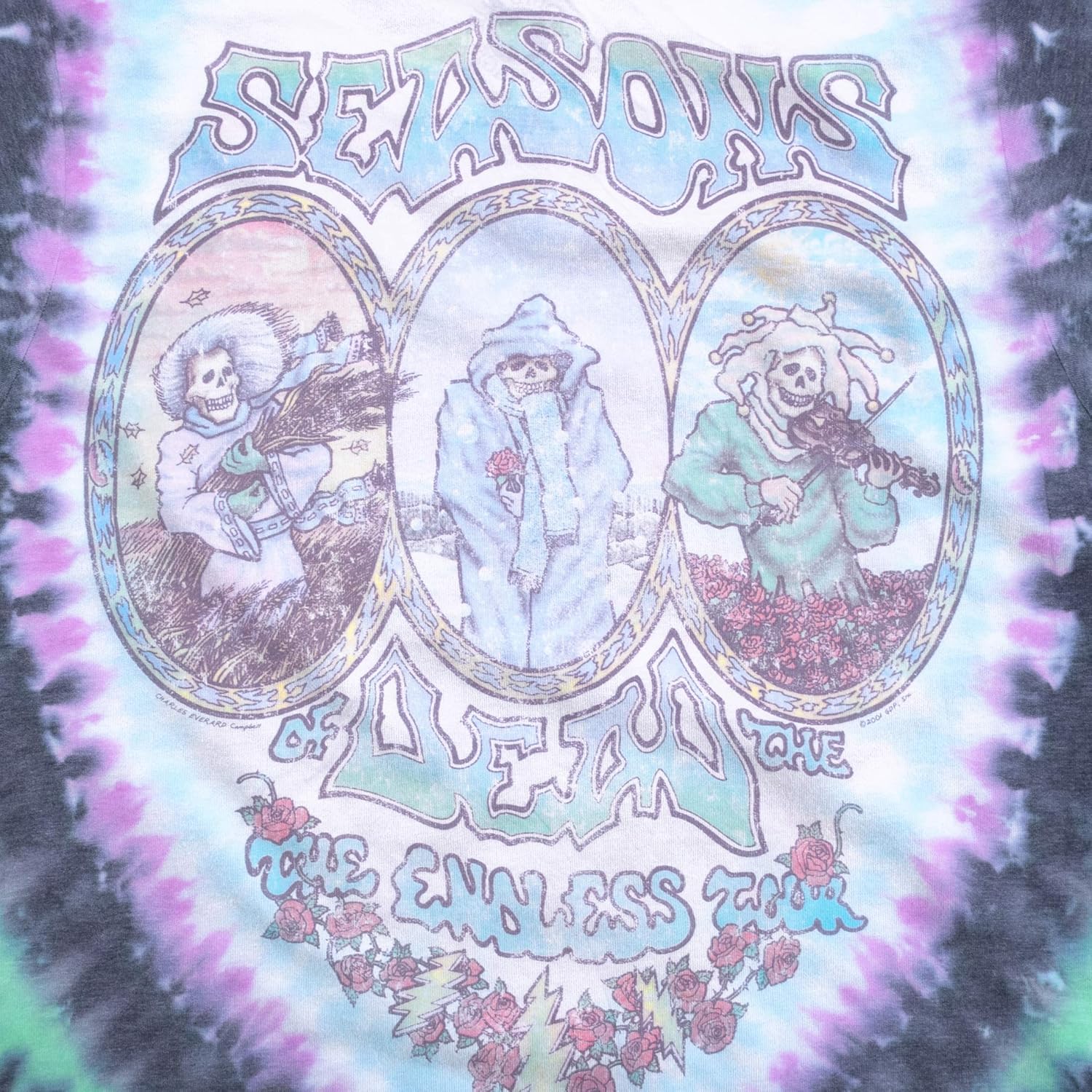 Liquid Blue Unisex-Adult Grateful Dead Vintage Seasons of The Dead Tie Dye Tee - Image 4