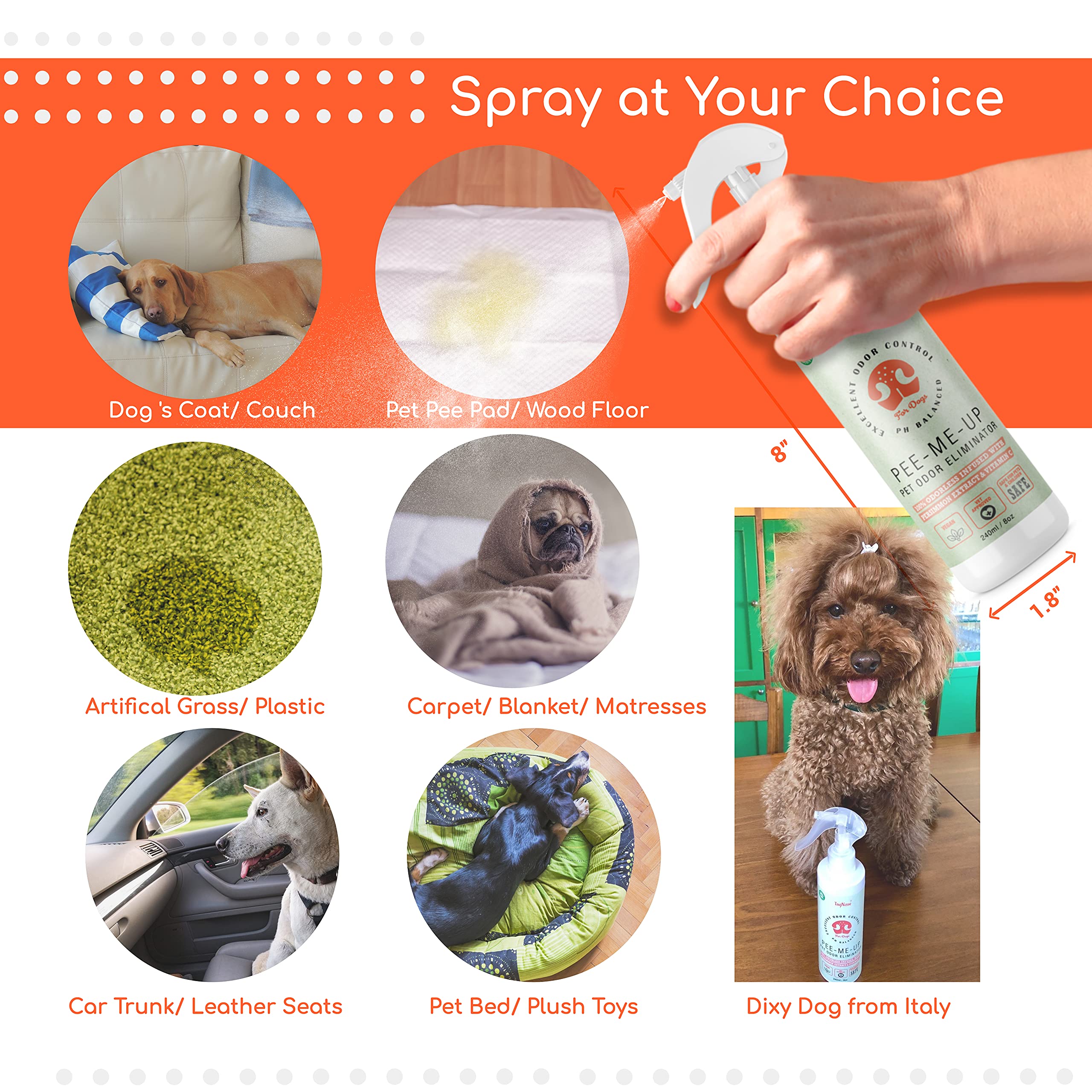 How To Stop Your Dog From Happy Peeing