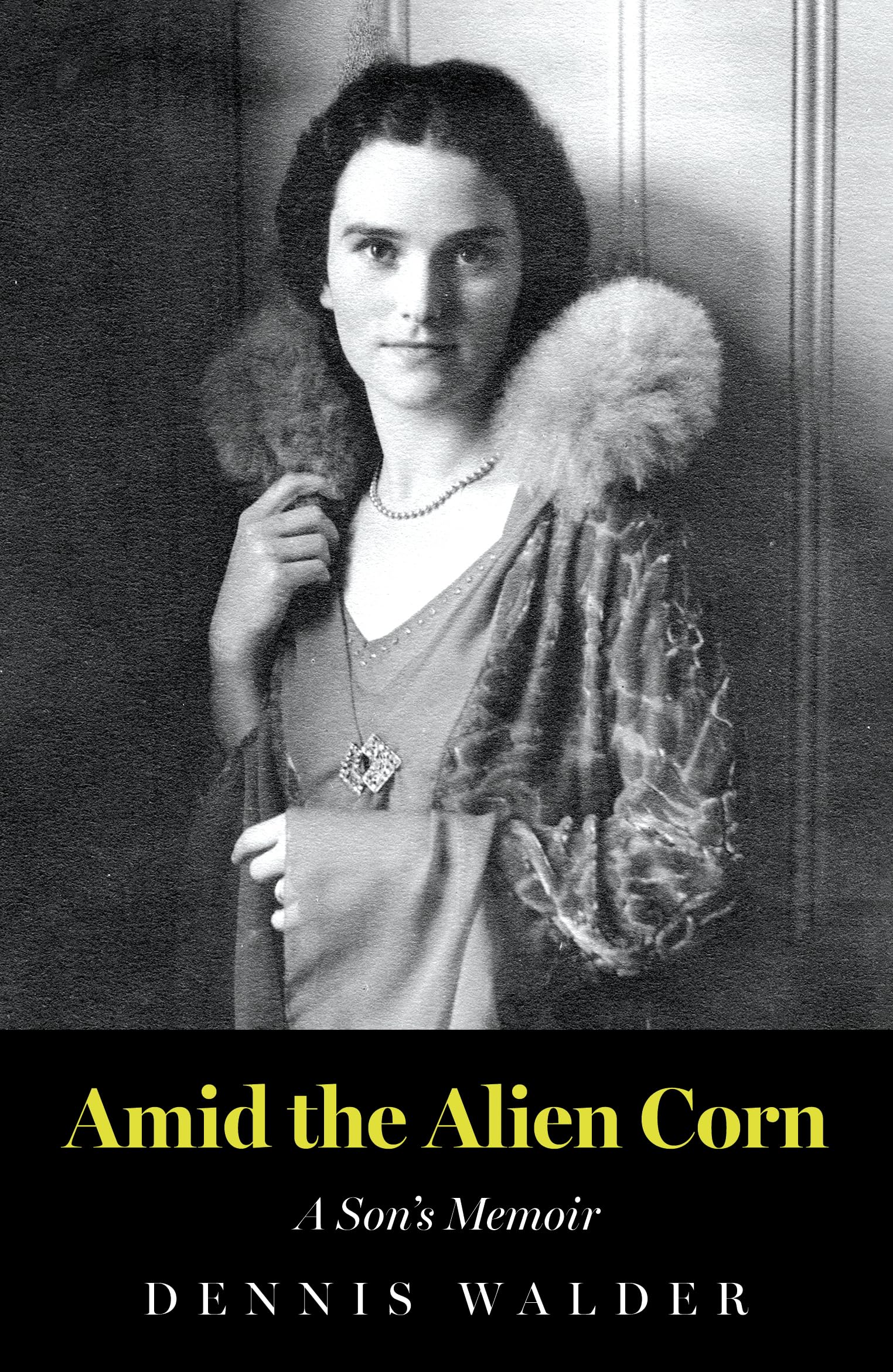 Amid the Alien Corn A Son’s Memoir by Dennis Walder (Paperback Book)