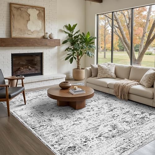 4x6 Area Rugs for Living Room, Bedroom, Grey Rugs, Small
