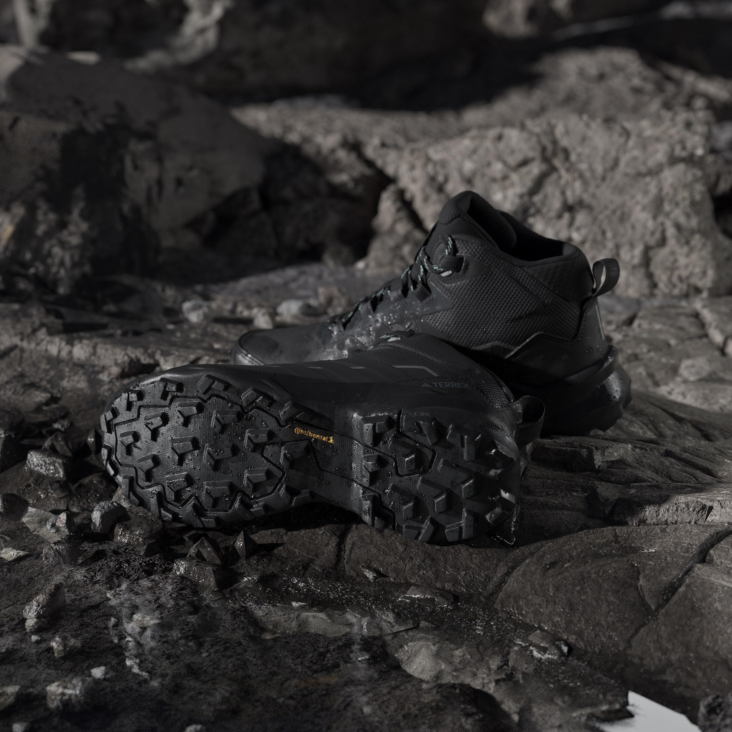 adidas Kobiety Terrex Skychaser Ax5 Mid Gore-tex HikingButy turystyczne