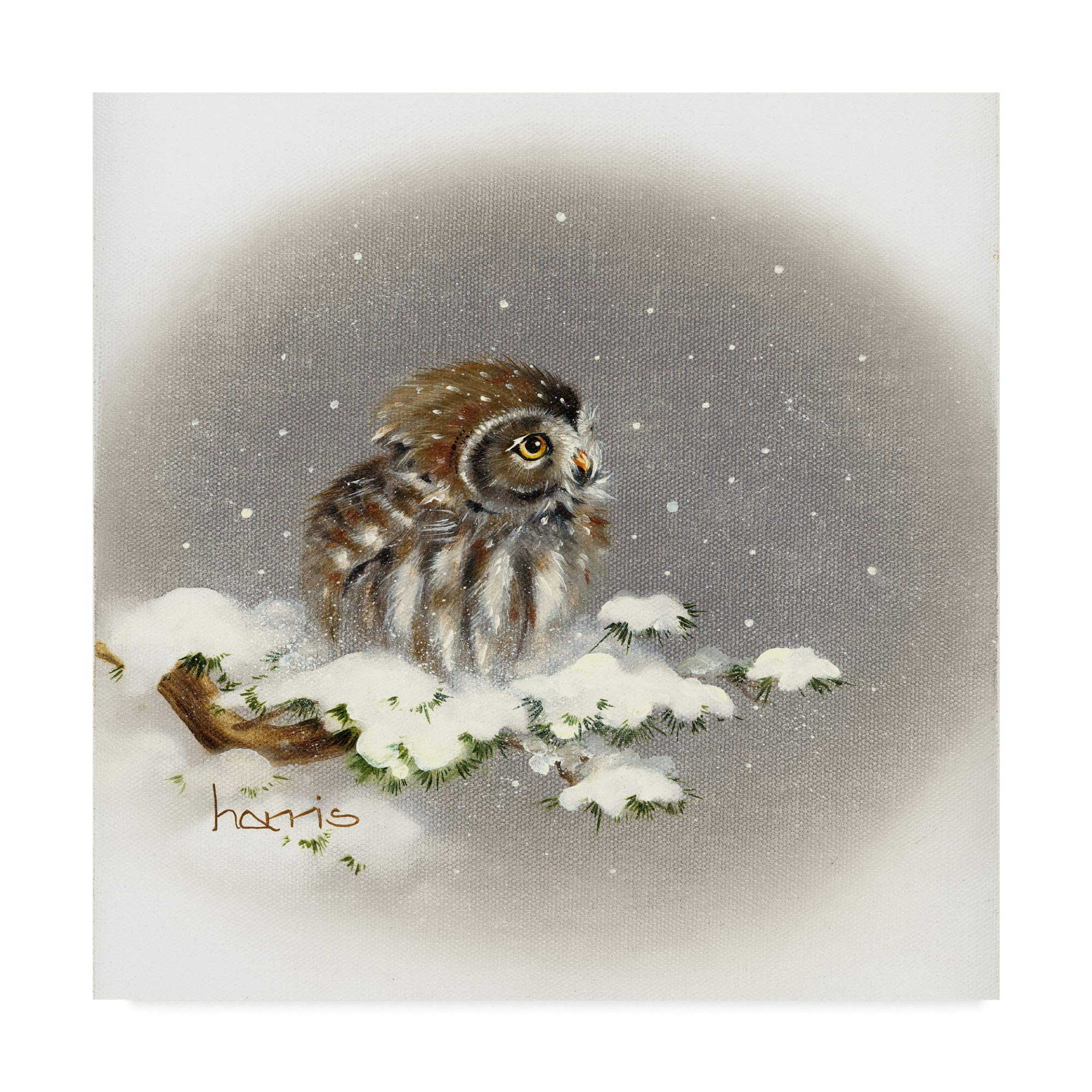 Trademark Fine Art Snow Daze by Peggy Harris, 14x14-Inch
