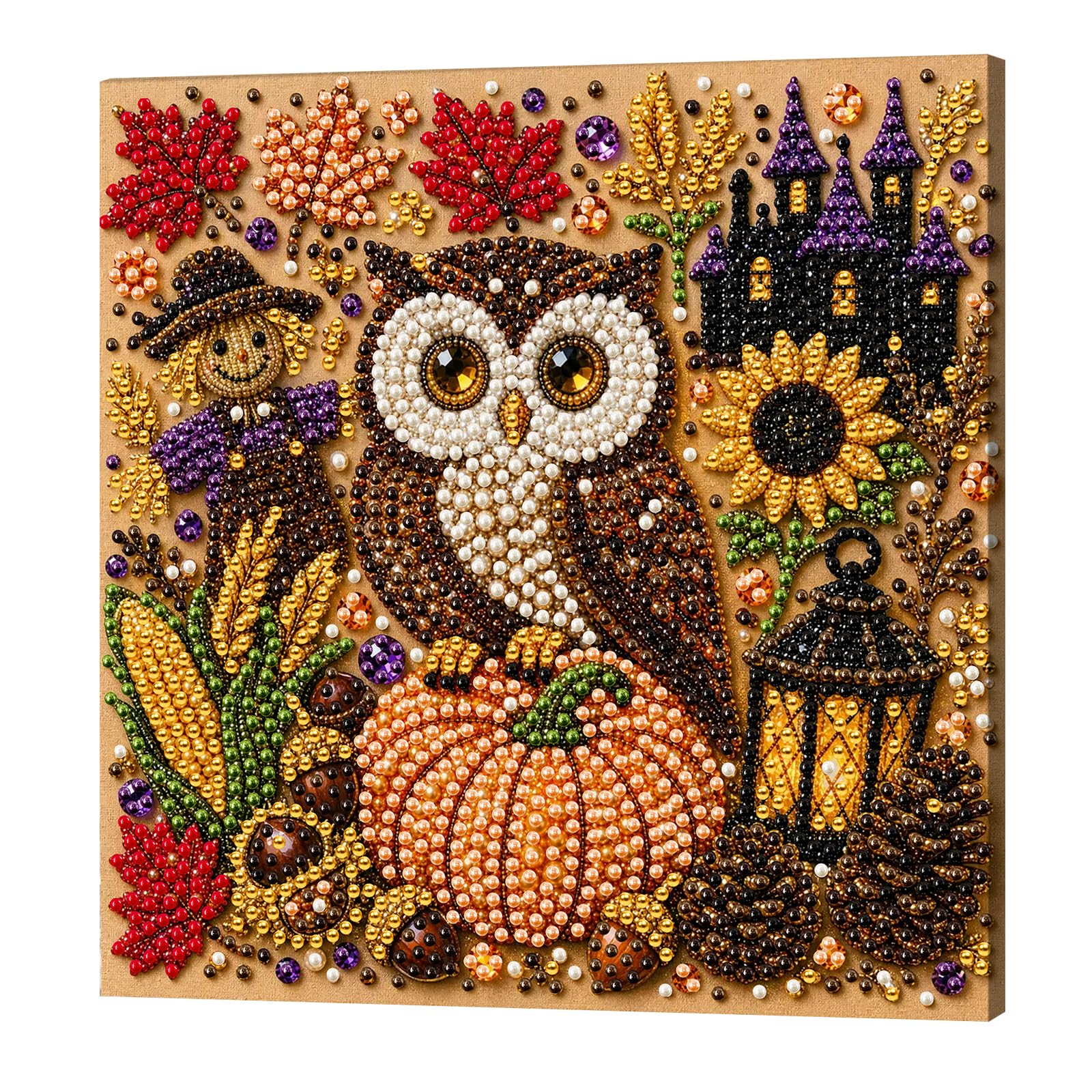 POETRYDRAW Pumpkin Owl Framed DIY Pearl Painting Art Kits for Adults w/